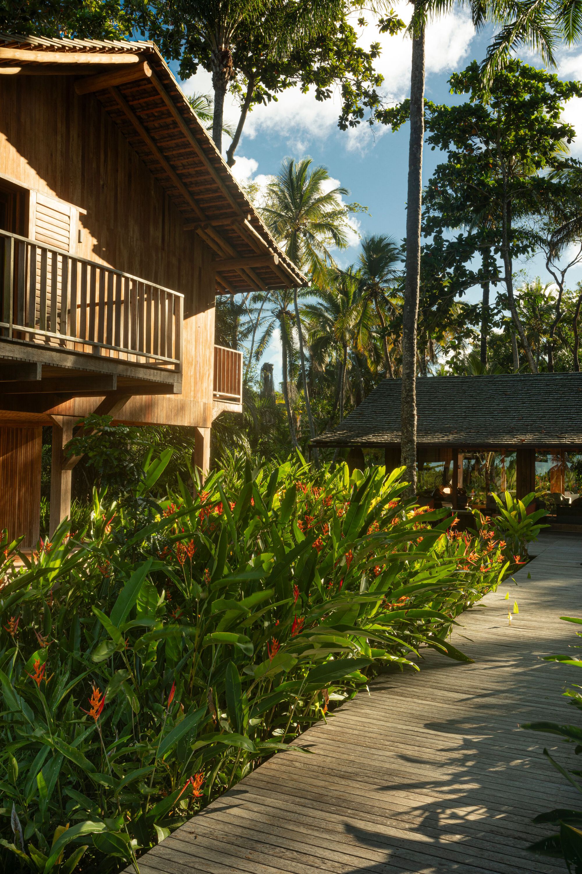 Timber boardwalk running past a balcony of the wood-clad house and a planted bed of heliconia in low afternoon sun