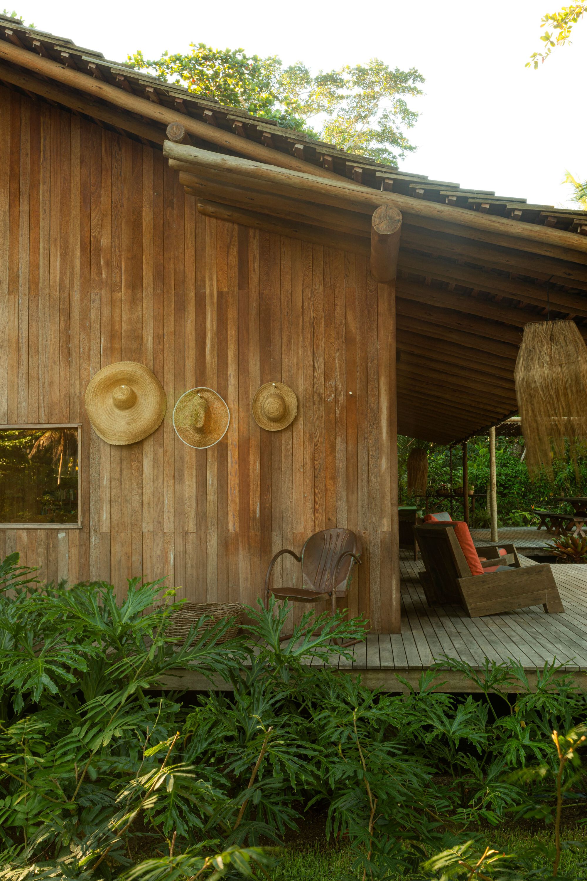 Vertical board wall with three straw hats and round log rafters above a deck corner with lounge chair, beside leafy plants