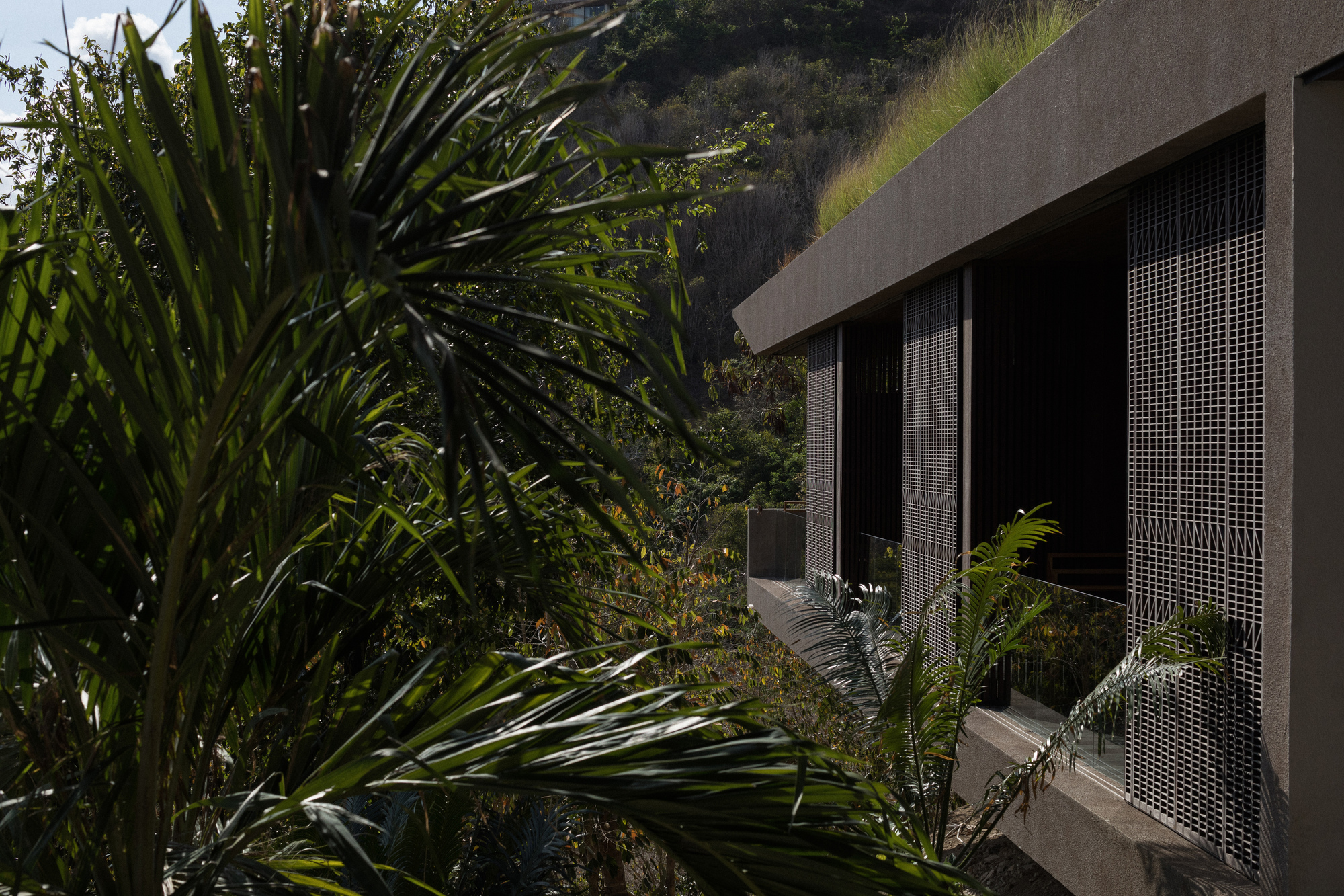 Side of the concrete volume with perforated screen panels and a grass roof edge, framed by palm fronds in dappled light