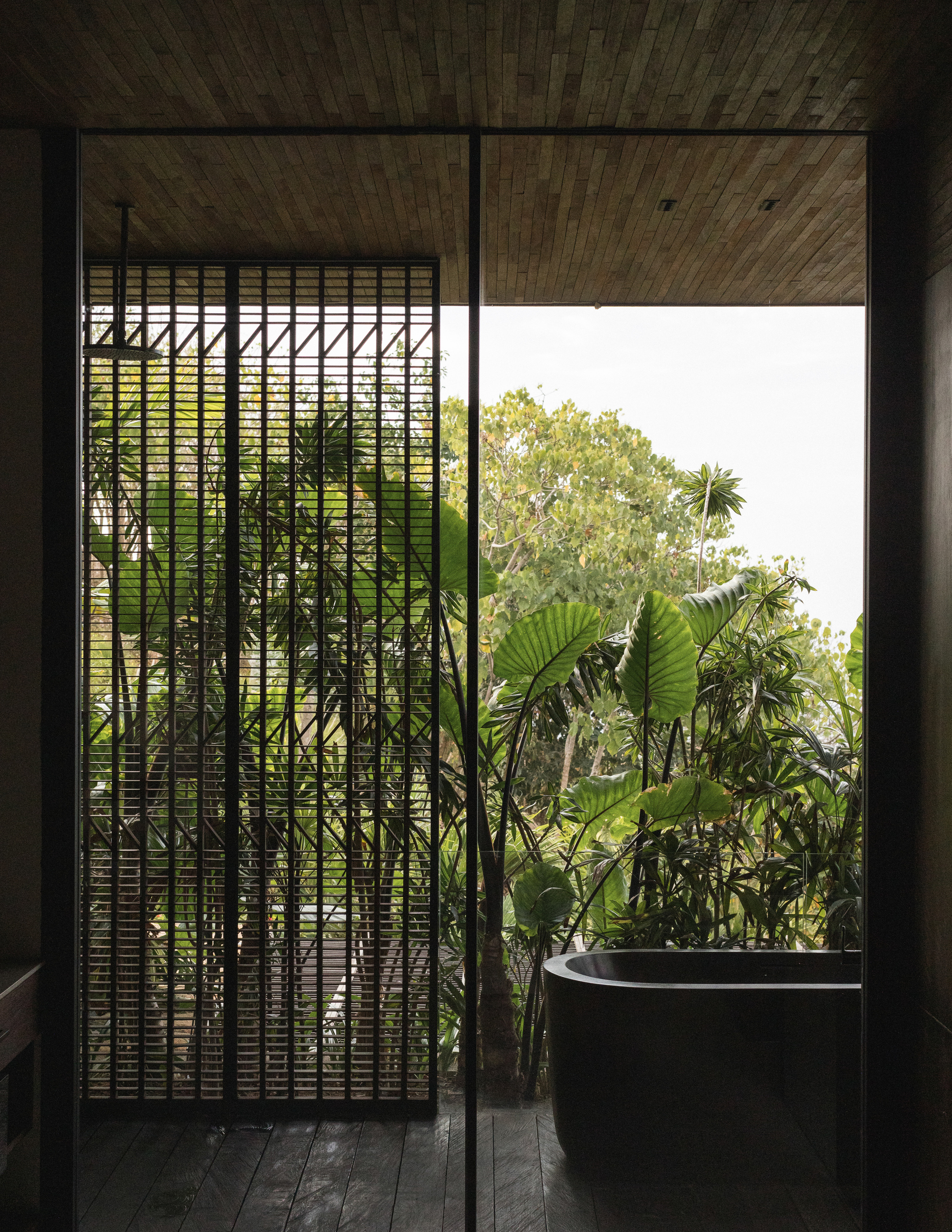 Bathtub and slatted timber screen seen through a glass wall, with broad-leaf plants and tree canopy glowing in soft overcast daylight