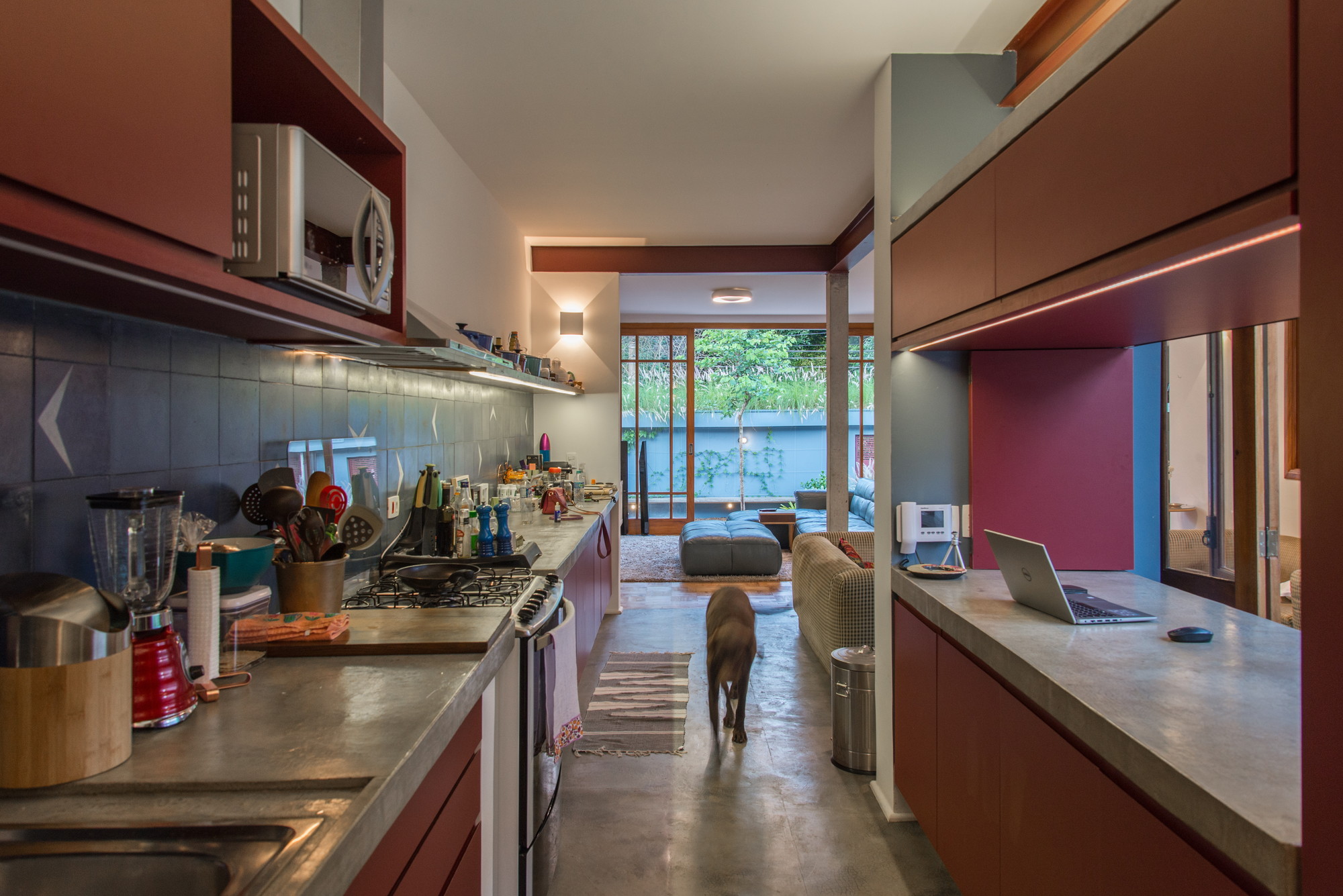 Narrow galley kitchen with concrete counters, red cabinetry and blue tile backsplash, a dog walking toward the living area
