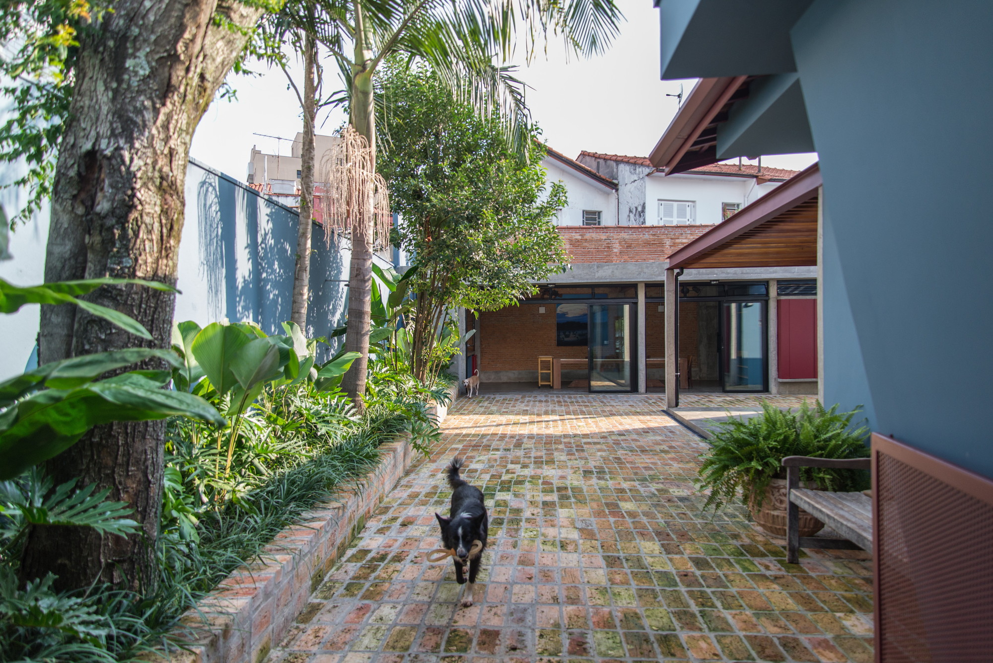 Brick-paved courtyard with a black dog running past a planted bed, a bench and a glazed pavilion beyond