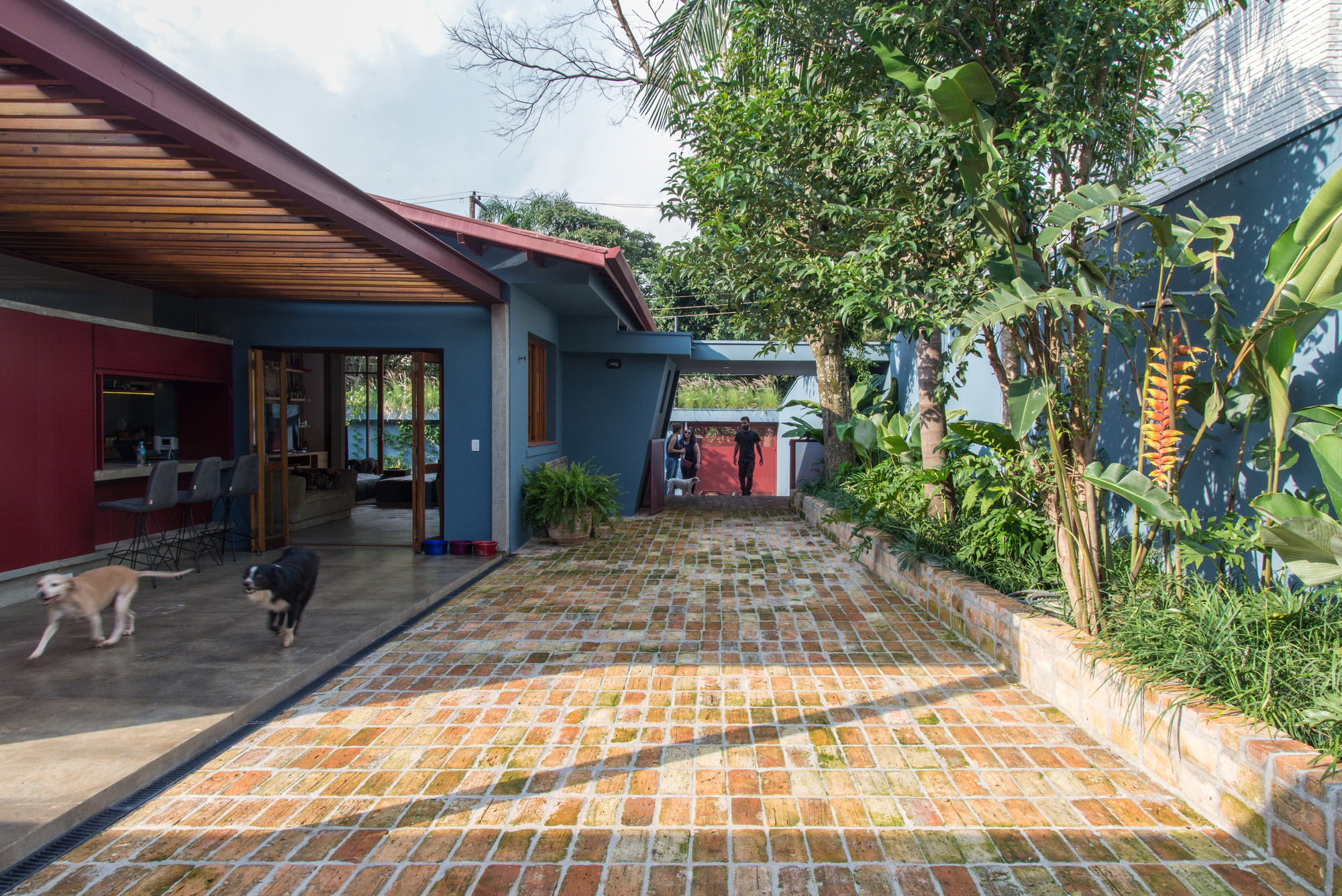 Brick courtyard in daylight with two dogs on the concrete porch, heliconia plants and a person walking at the far end