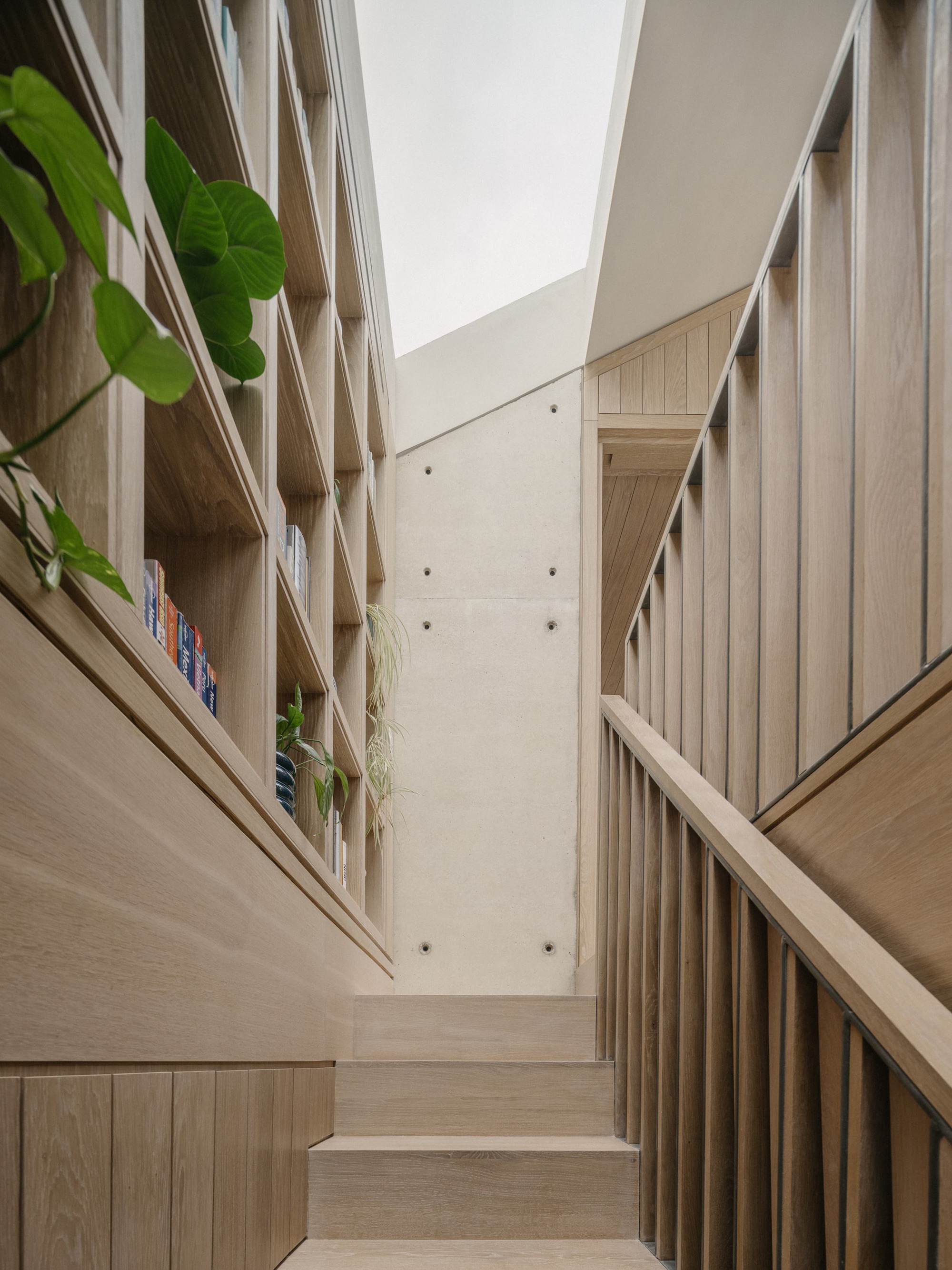 Oak staircase with slatted balustrade beside a built-in bookcase, trailing plants and a concrete wall lit from a skylight above