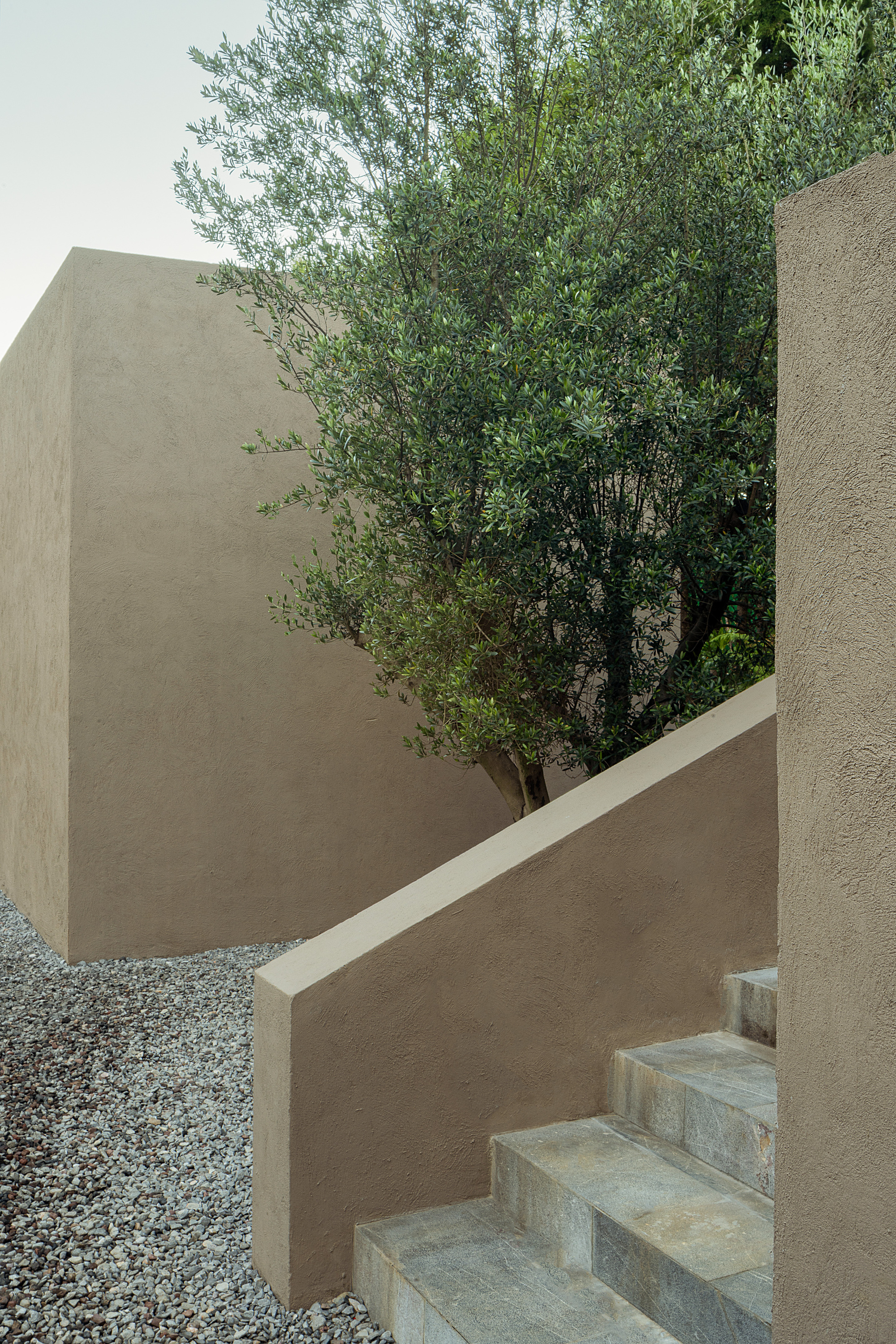 Stone steps beside a plastered stair wall, with an olive tree rising between earth-toned stucco volumes above a gravel bed