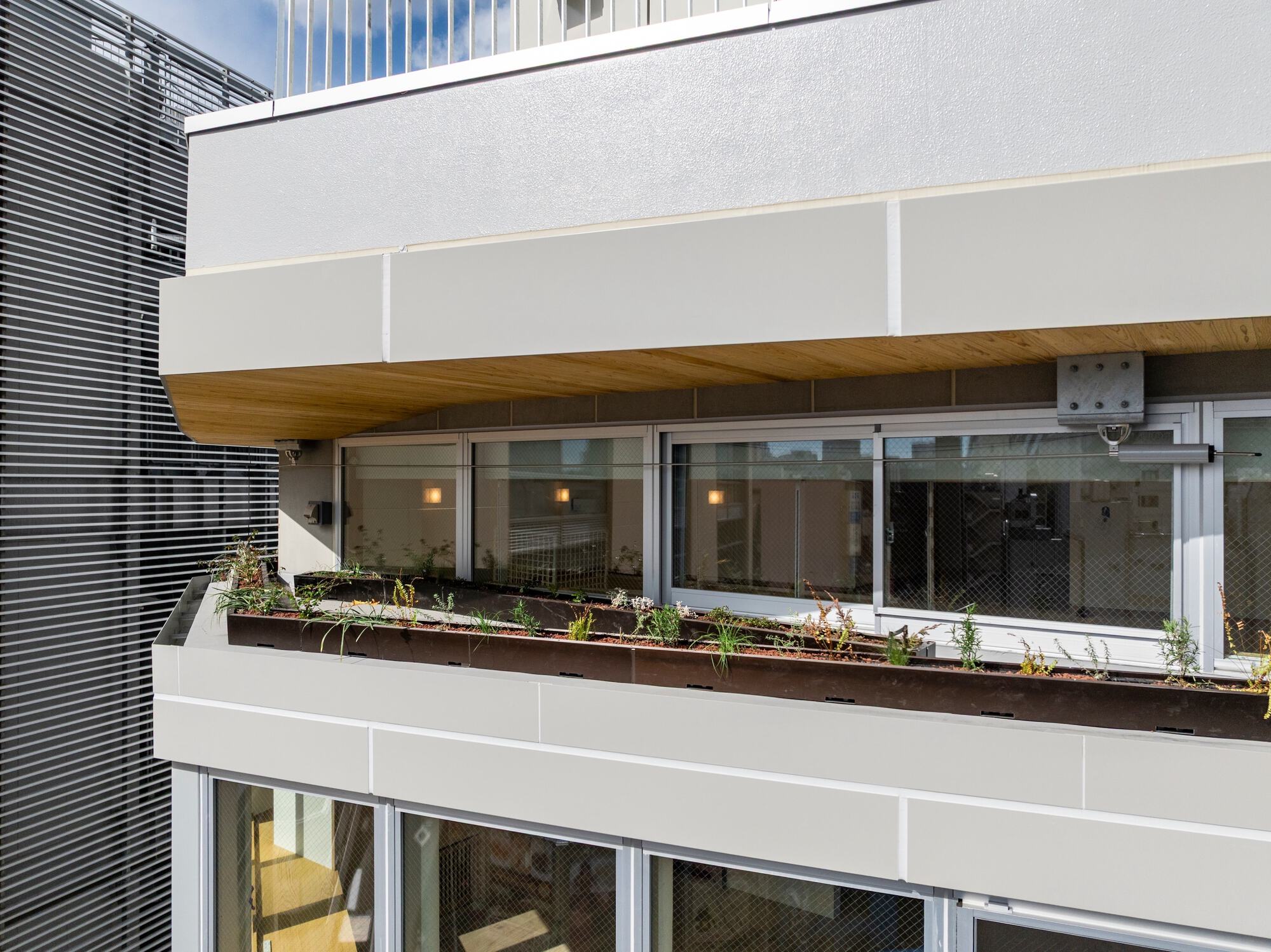 Close view of a terrace planter with grasses and small flowers beneath a cantilevered timber soffit on a sunny day