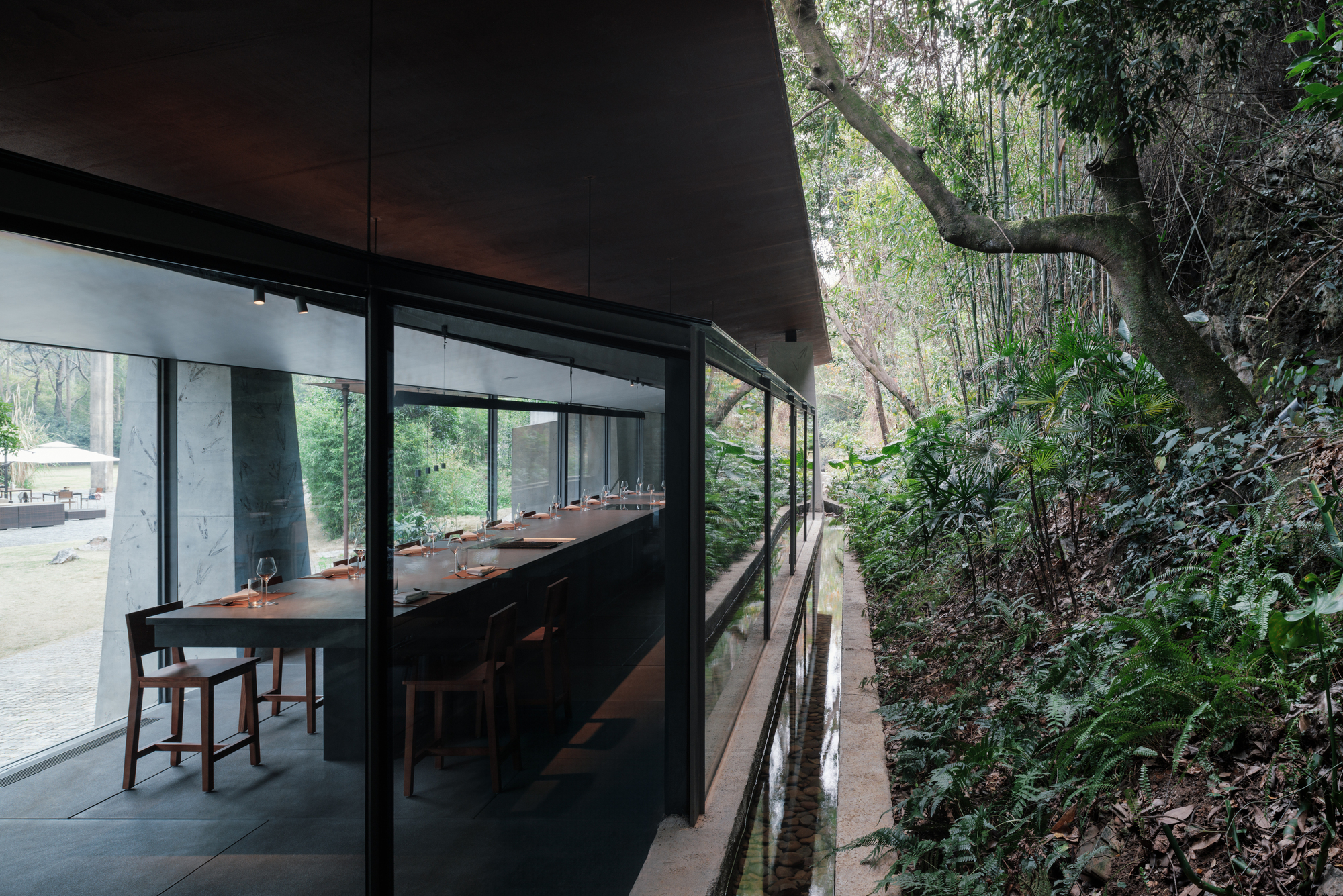 Glazed dining pavilion edge with a narrow water channel and a leaning tree over the fern-covered hillside