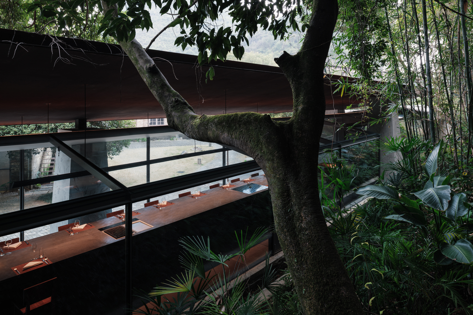 View through a mossy tree trunk and bamboo down to the glass-walled dining counter under a dark overhanging roof