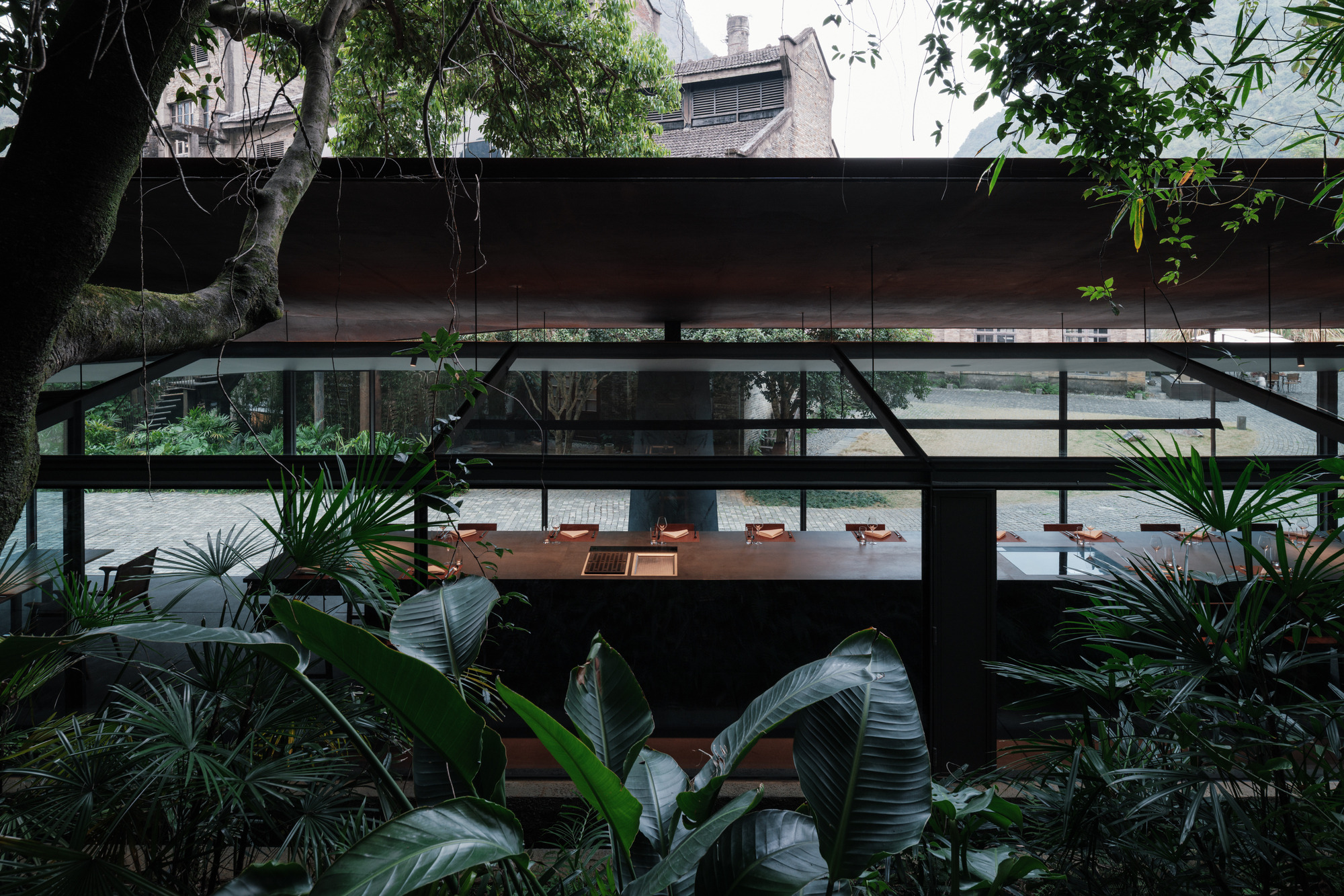 Glazed dining pavilion seen through broadleaf plants, with a long timber counter beneath a dark roof and a tree trunk passing through