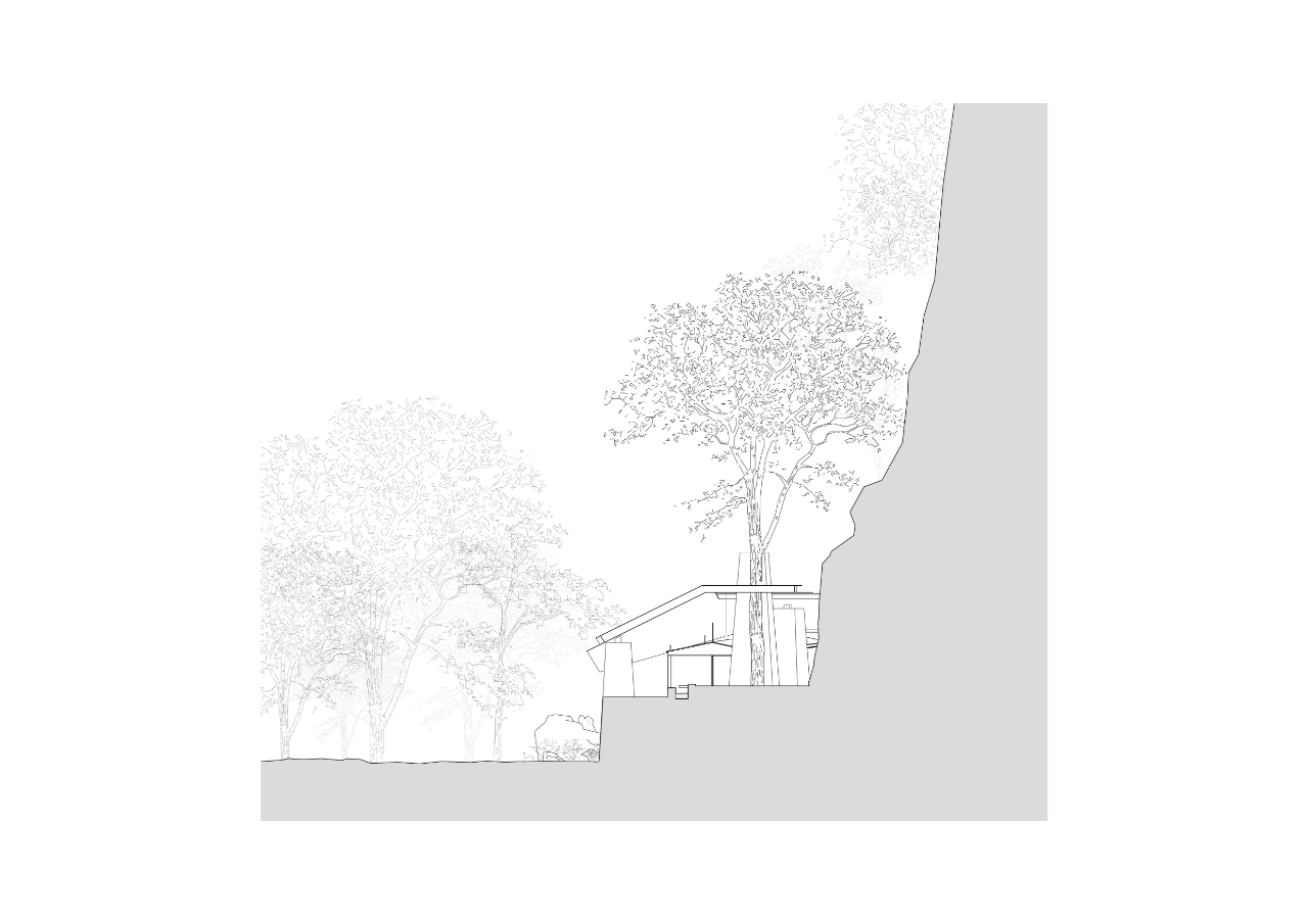 Section drawing showing a low pavilion stepped into a steep rock face, with a large tree rising through its roof