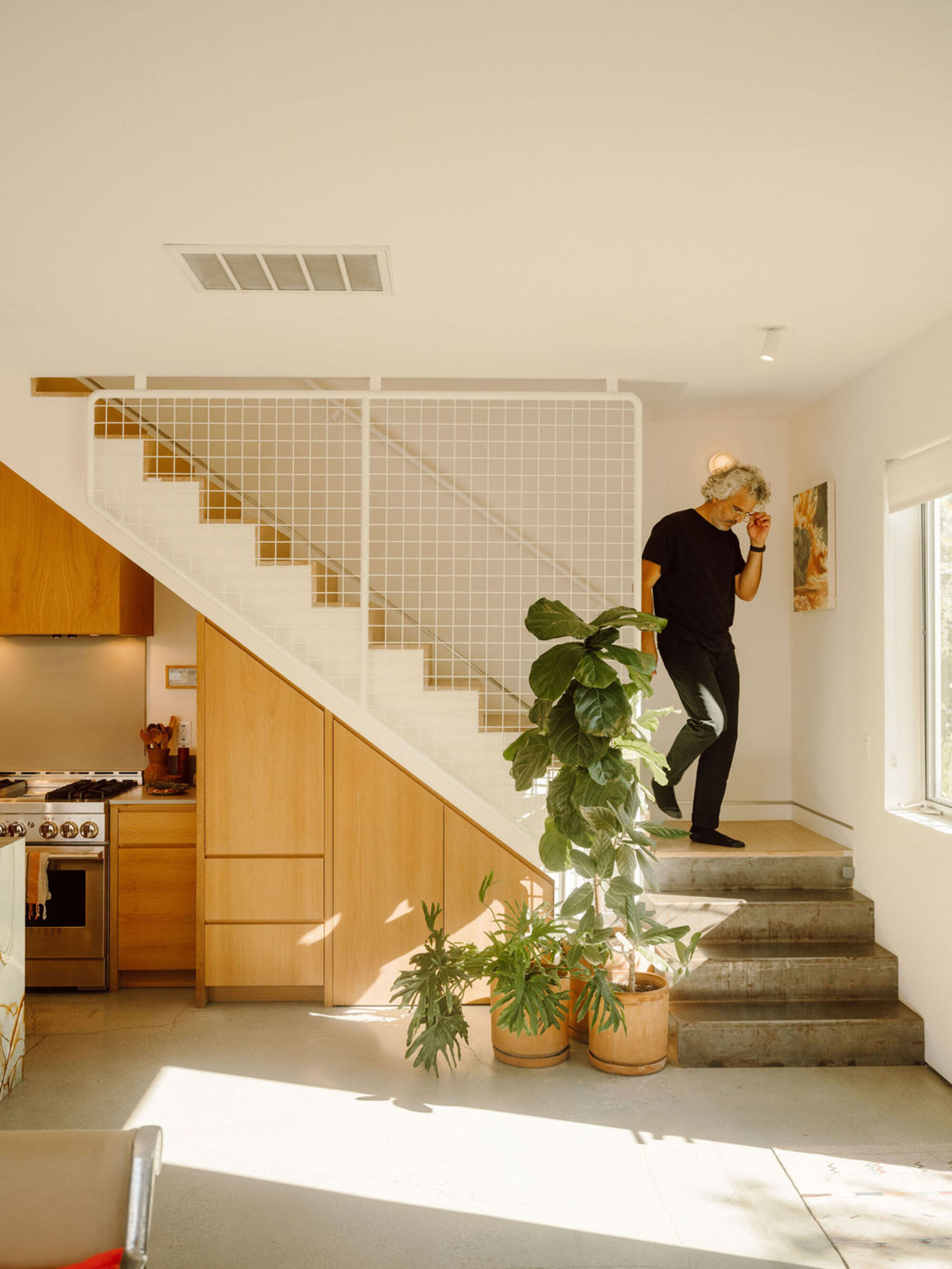 Open-riser stair with white wire mesh guard above oak cabinetry, a man descending past potted fiddle-leaf figs in sunlight