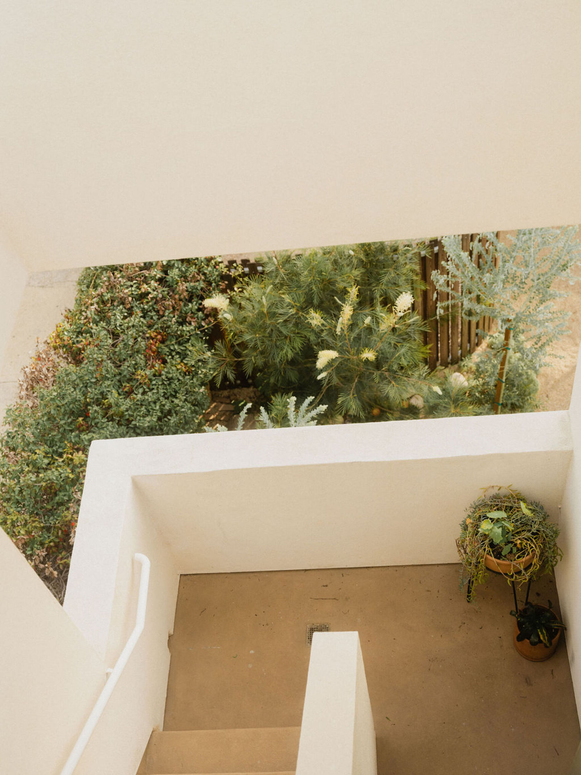 High view down a white plaster stairwell toward a planted garden with flowering shrubs and a timber fence