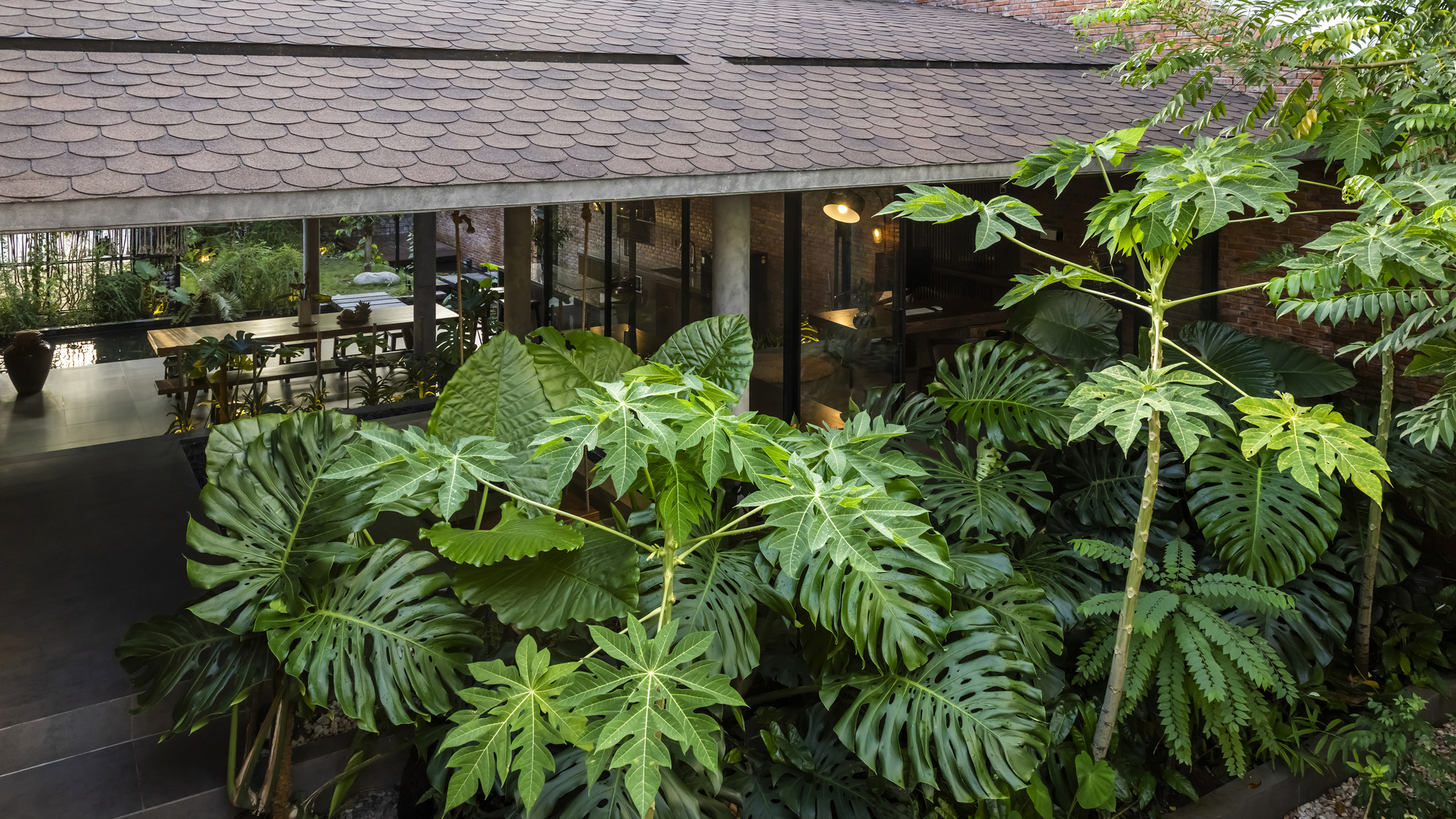 Monstera and split-leaf philodendron crowding a courtyard beneath a scalloped shingle roof, with a dining table glimpsed through glass behind