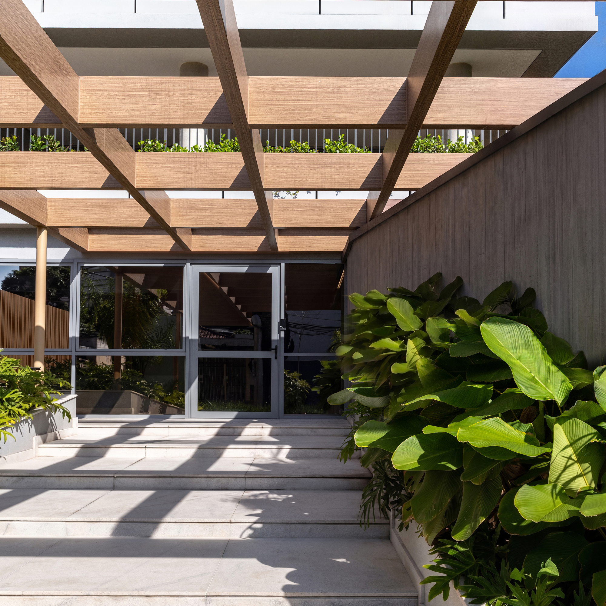 Entrance stair leading to a glazed door under a timber pergola, with broad-leaved plants and shadows falling across the steps