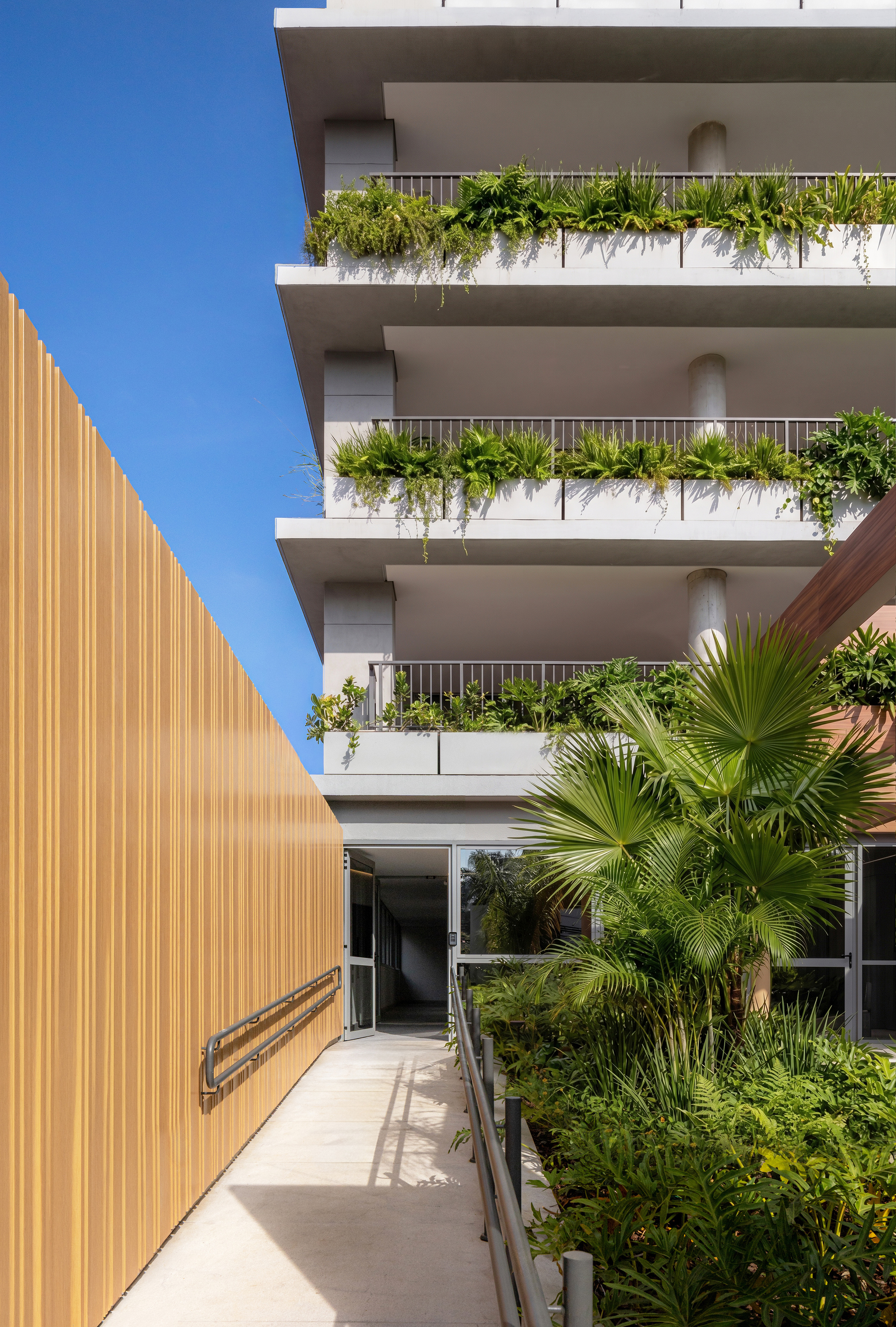 Entrance ramp with steel handrail running along a golden timber slat wall, with palms and planted balconies above in bright sun