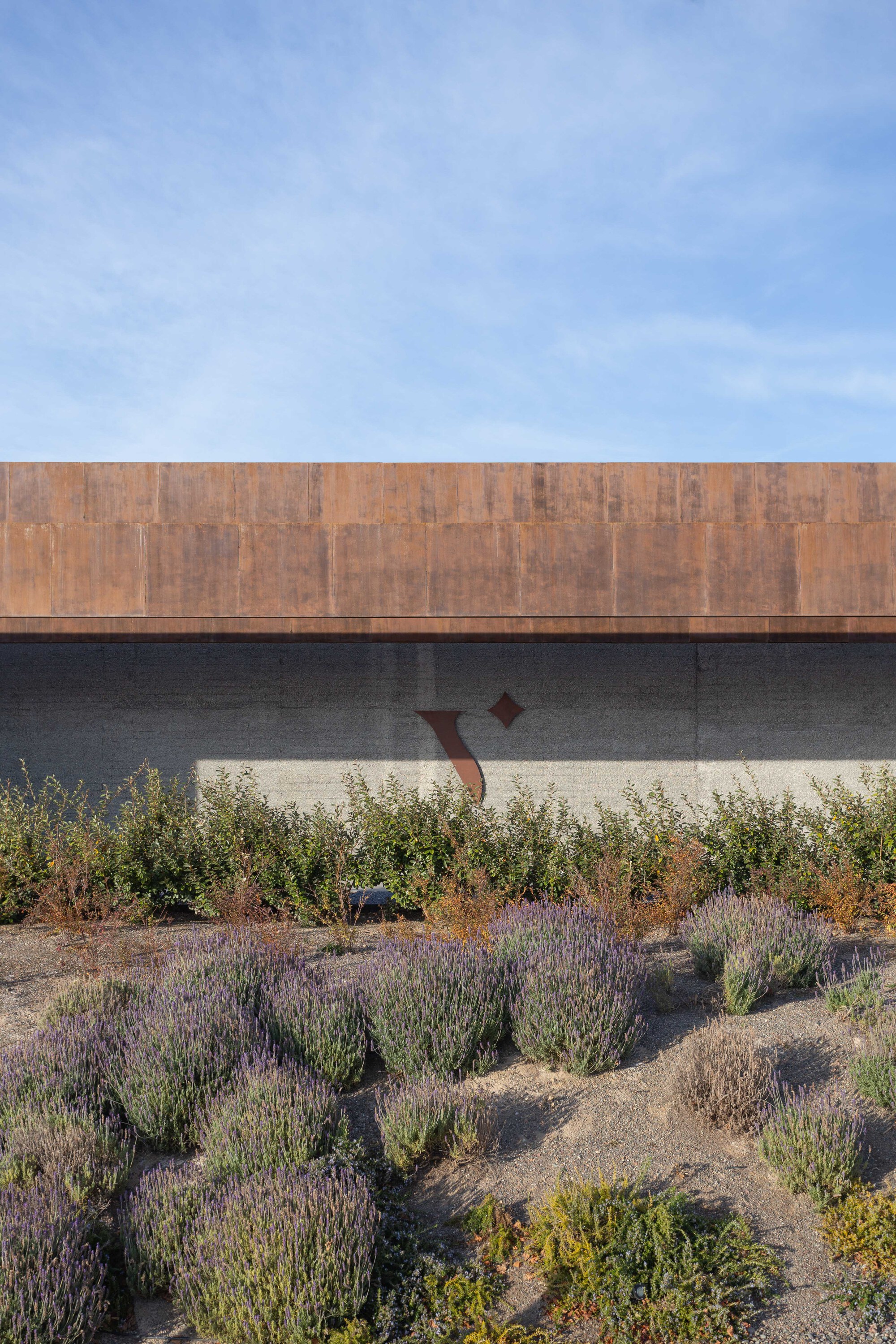 Rust-colored steel cladding above a concrete wall with a small emblem, fronted by flowering lavender under a blue sky
