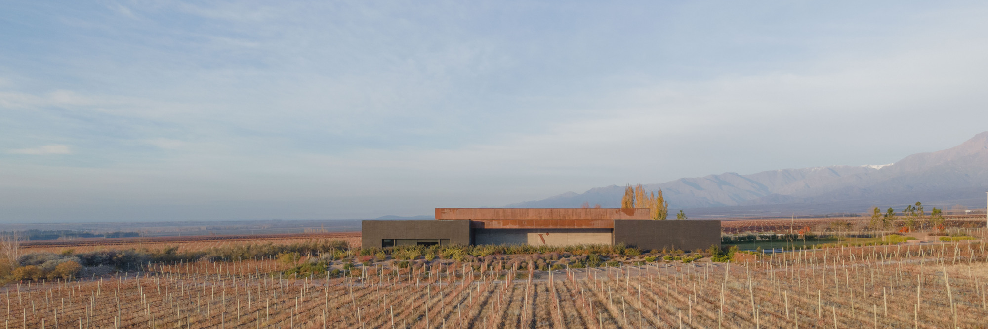 Wide view of the low rust-topped building across rows of bare vines, with a mountain range at the right