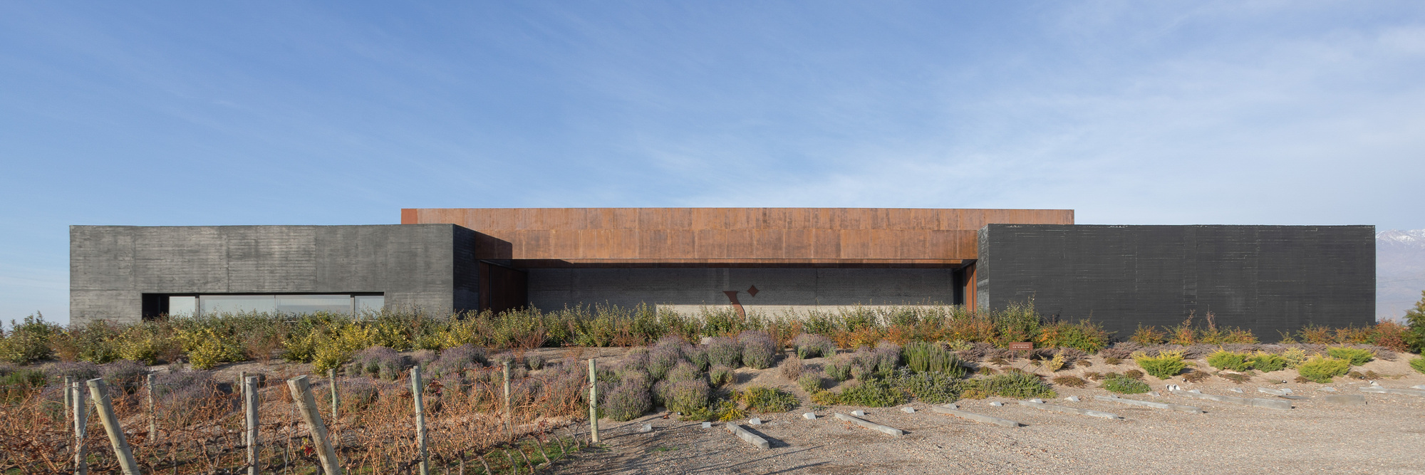 Front elevation of dark concrete walls and a weathering steel upper band behind lavender and grass plantings under blue sky