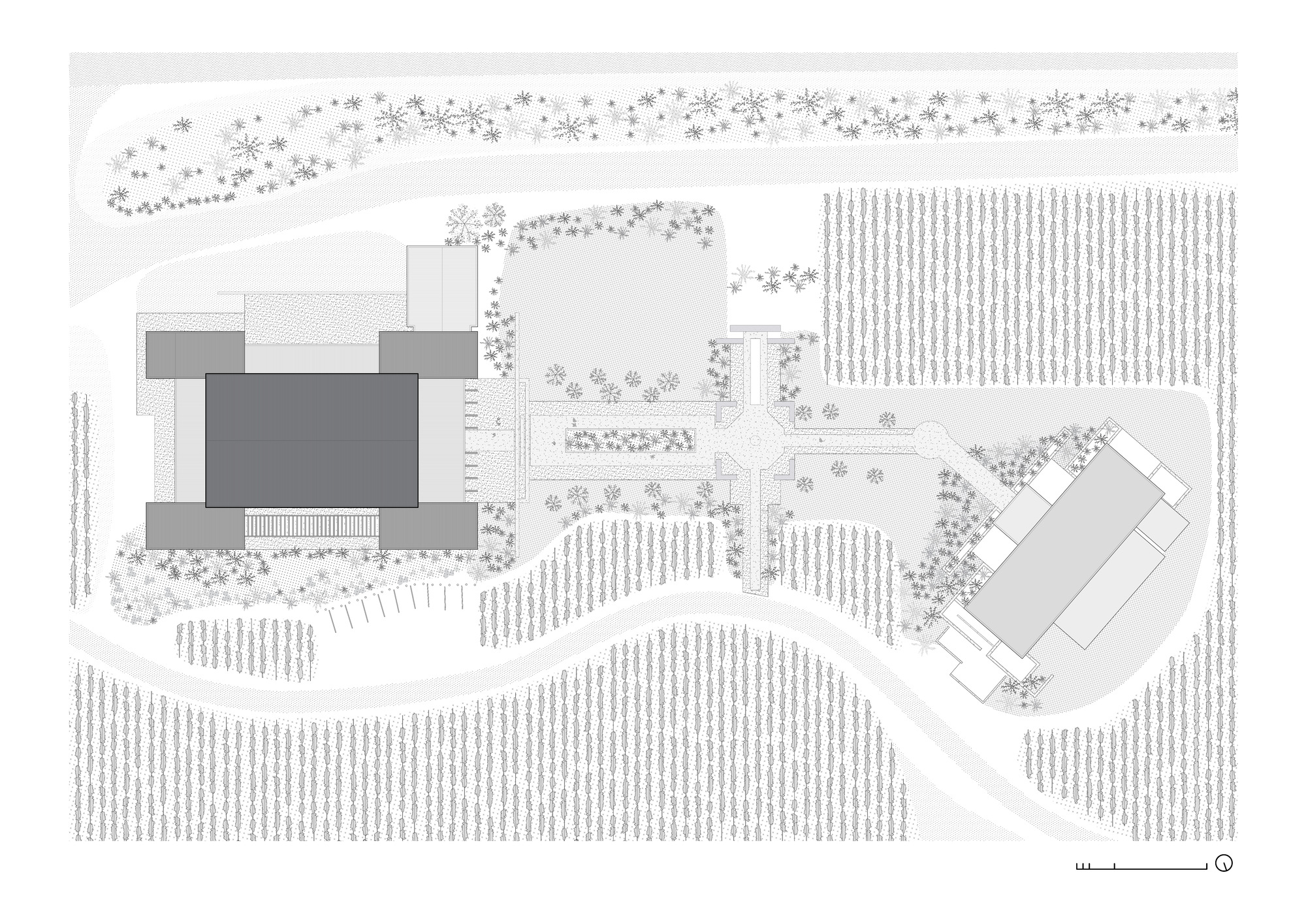 Enlarged site plan drawing of the large rectangular building linked by a tree-lined axial path to a second angled building