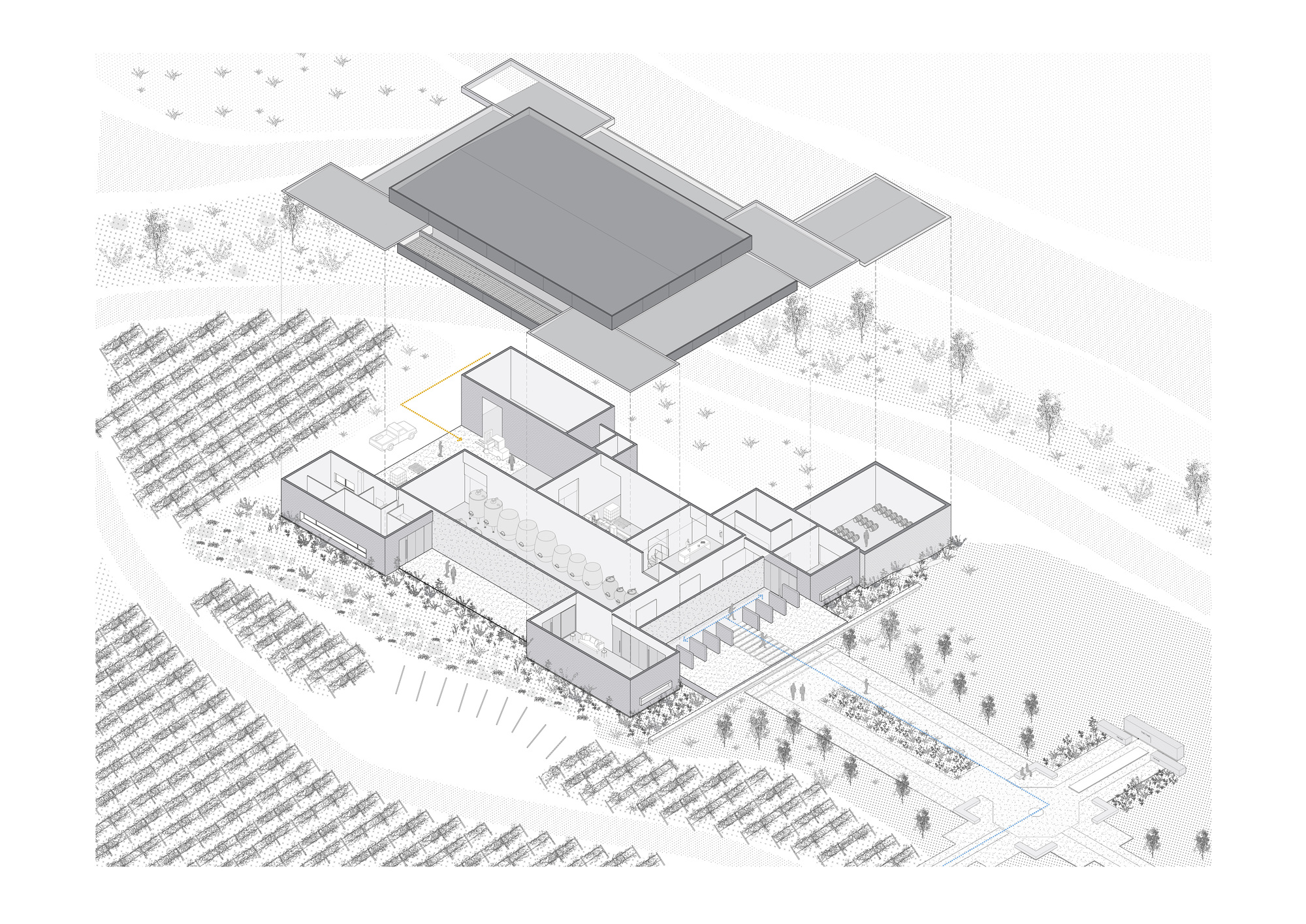 Exploded axonometric drawing lifting the large flat roof above the cutaway plan of rooms, tanks and courtyard, with vineyard rows around