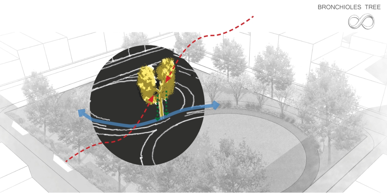 Axonometric diagram of a park with a circular inset showing a branching tree form, crossed by a blue arrow and a red dashed line. Image: elyana javaheri
