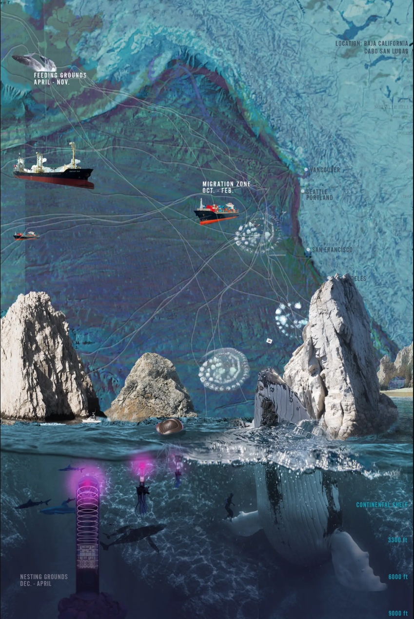 Site and Context. Image: Drina Cortez