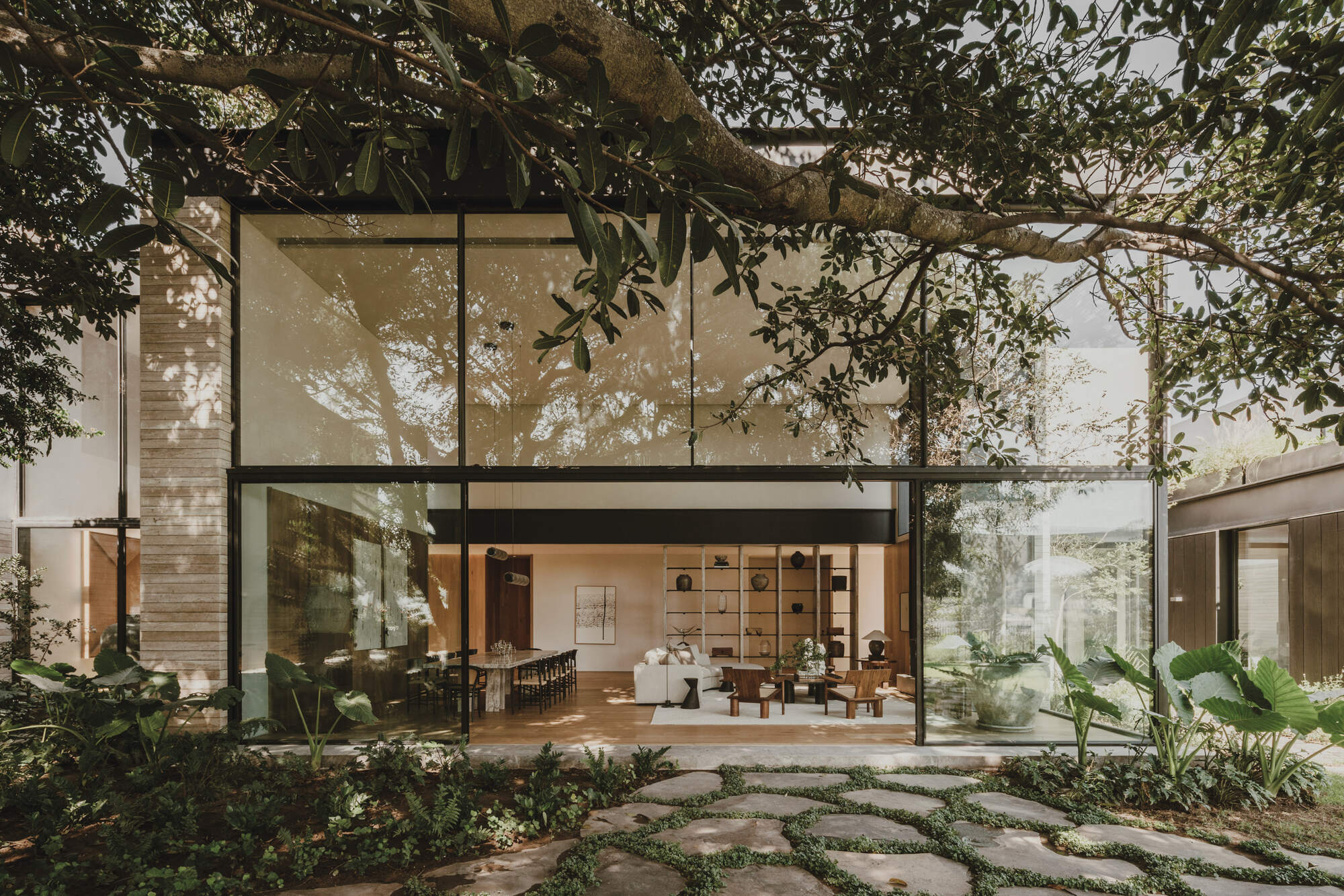 Glass-walled living pavilion seen through a spreading tree branch, with flagstone stepping pads set in groundcover in the foreground