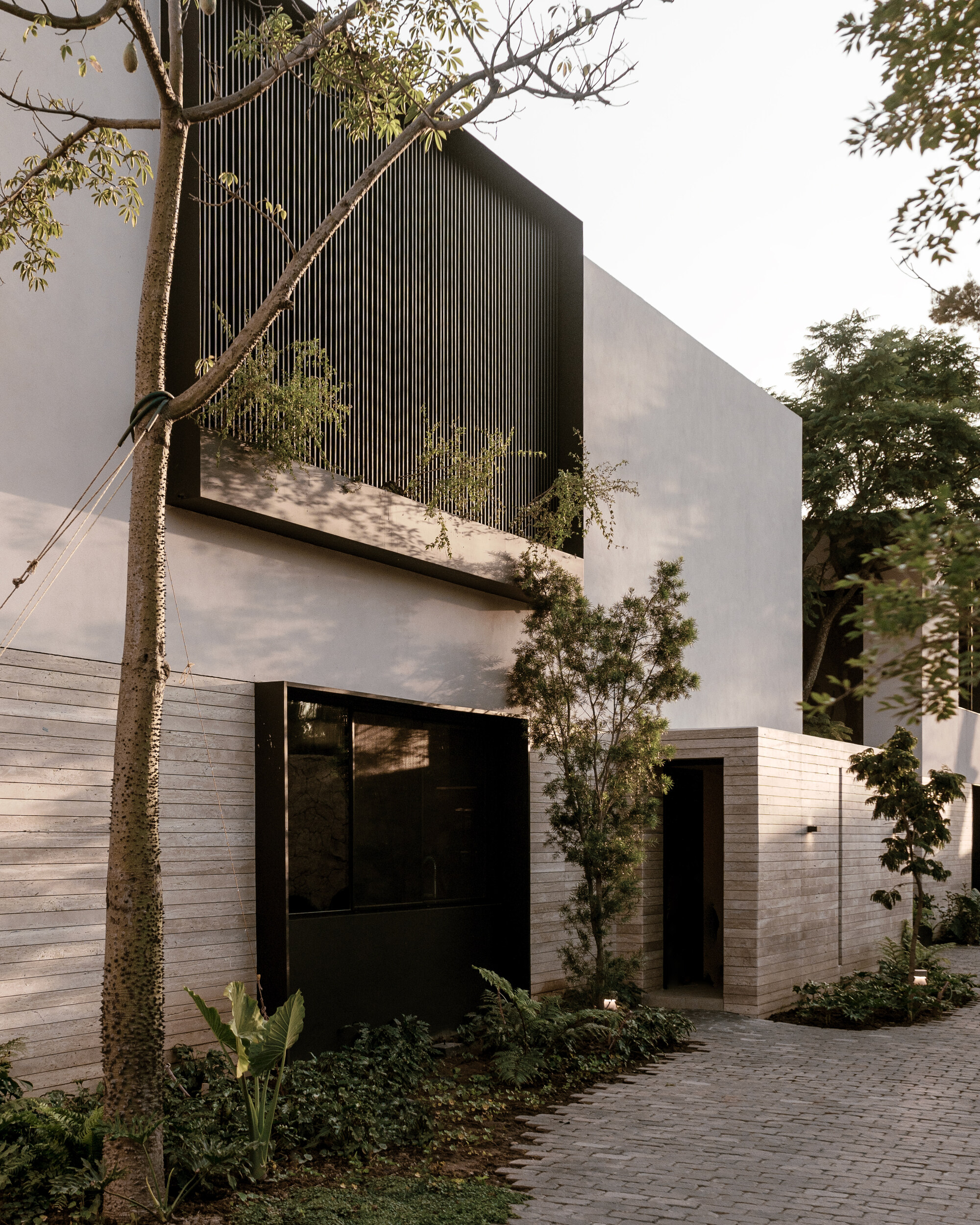 Street facade with a black-framed slatted screen above a banded stone wall, a slender tree trunk in the foreground in soft evening light