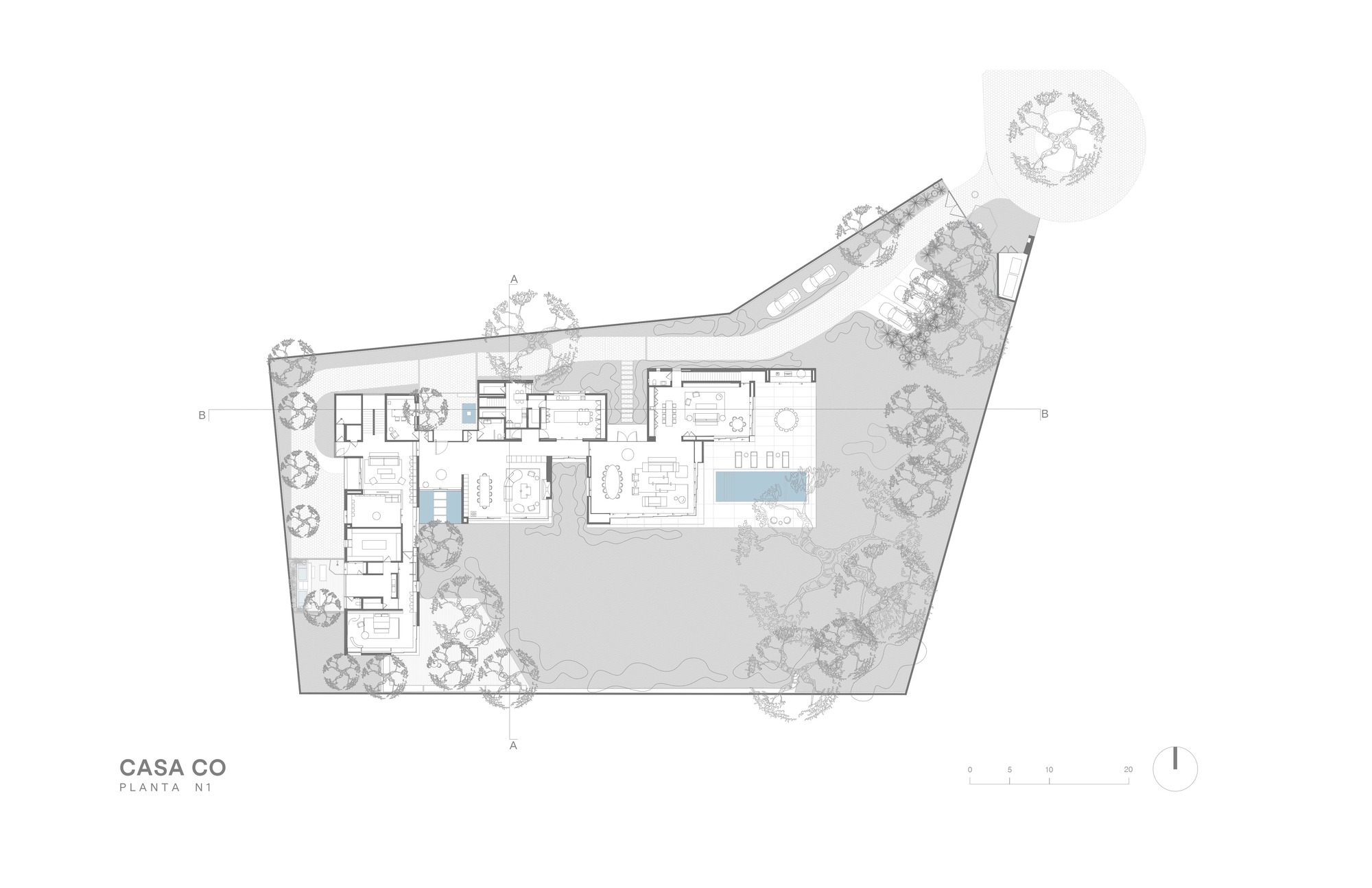 Ground floor plan drawing of a house on an angular site, showing rooms, a pool, a terrace and scattered trees