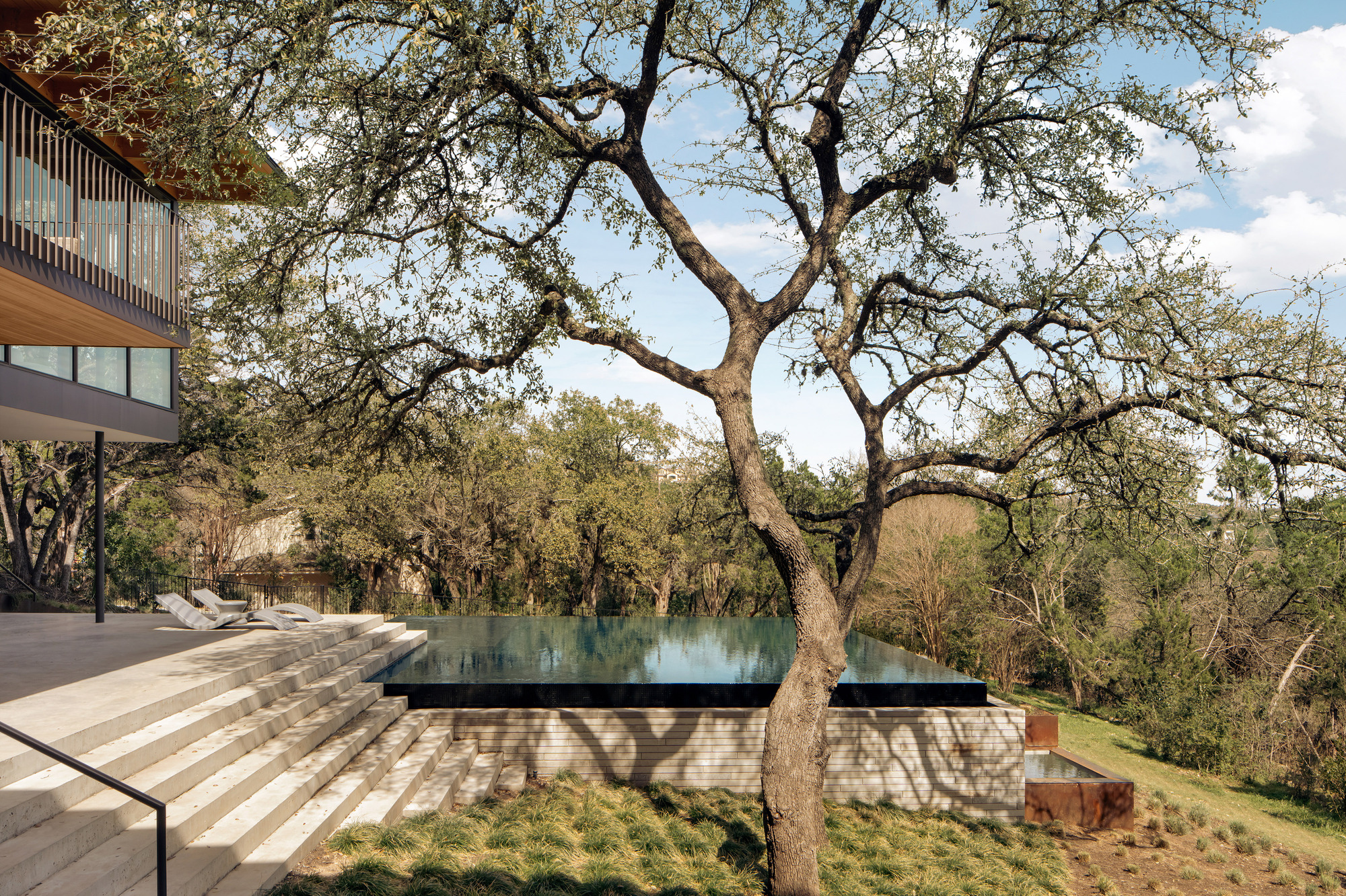 Wide stone steps descending to an infinity pool beside a spreading oak tree under a bright blue sky