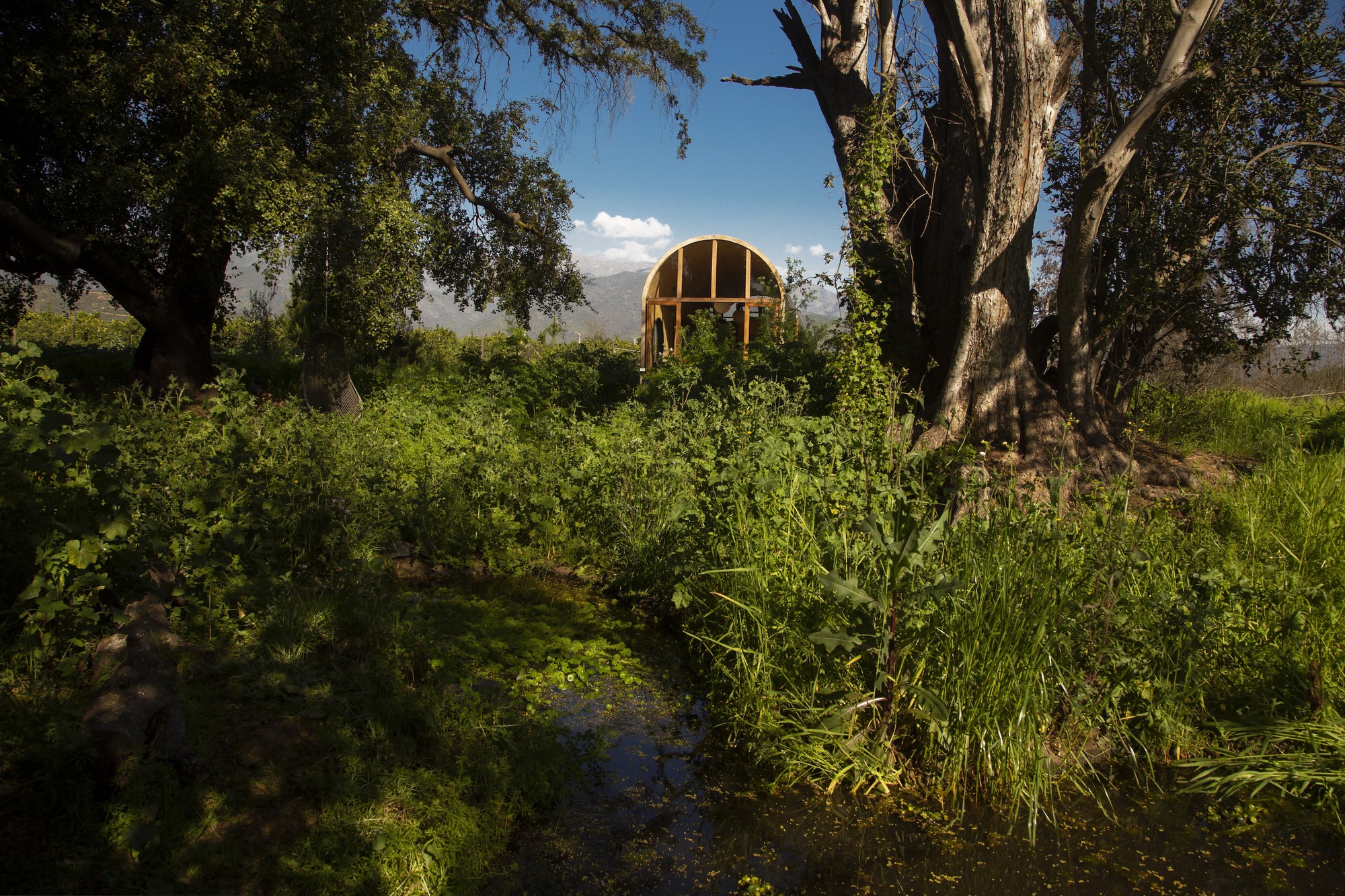 Arched timber-framed end of a small cabin glimpsed through tall grass, a pond and old trees under blue sky