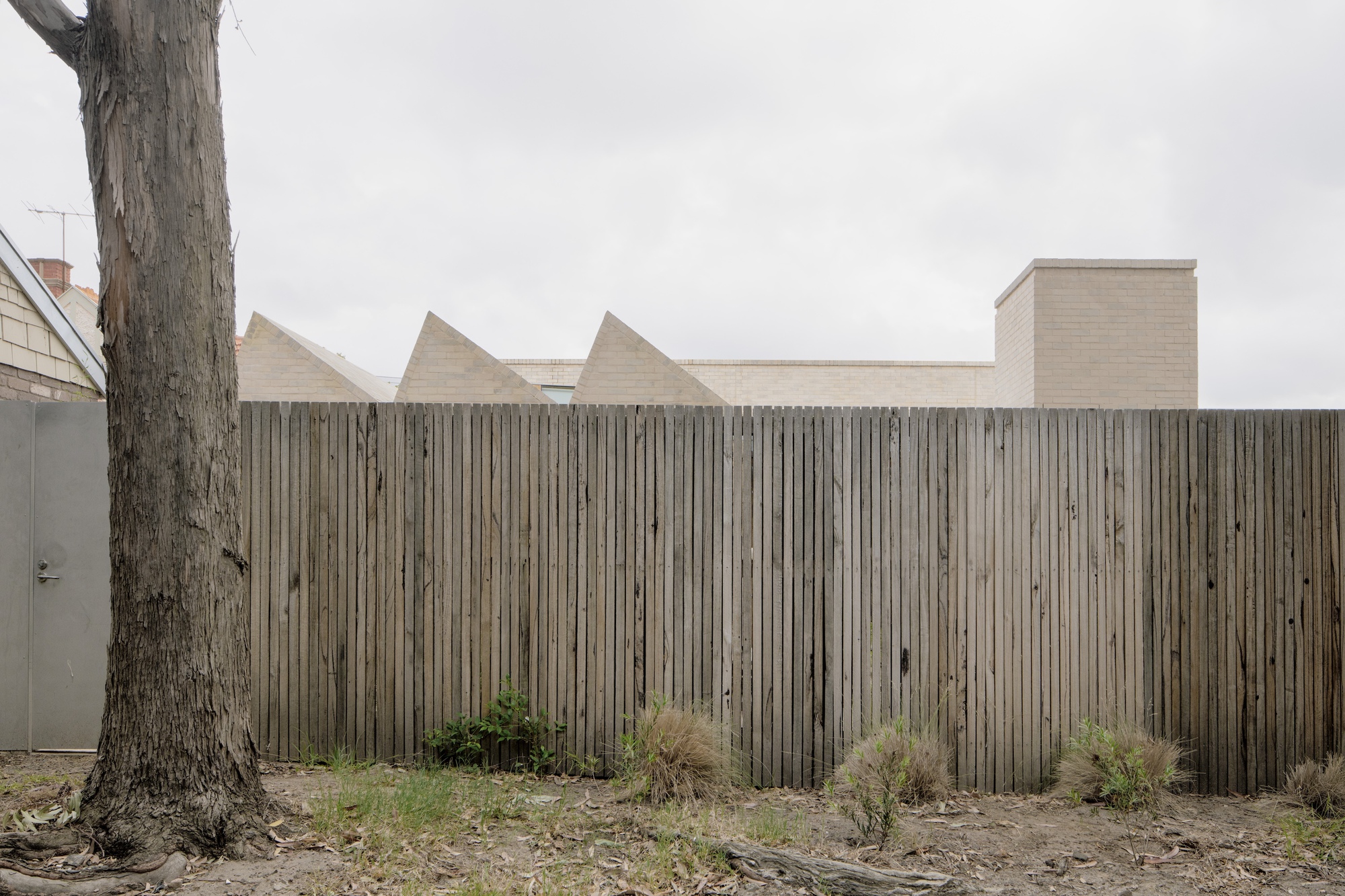 Timber paling fence with sawtooth brick roof gables rising behind it, beside a eucalyptus trunk under an overcast sky