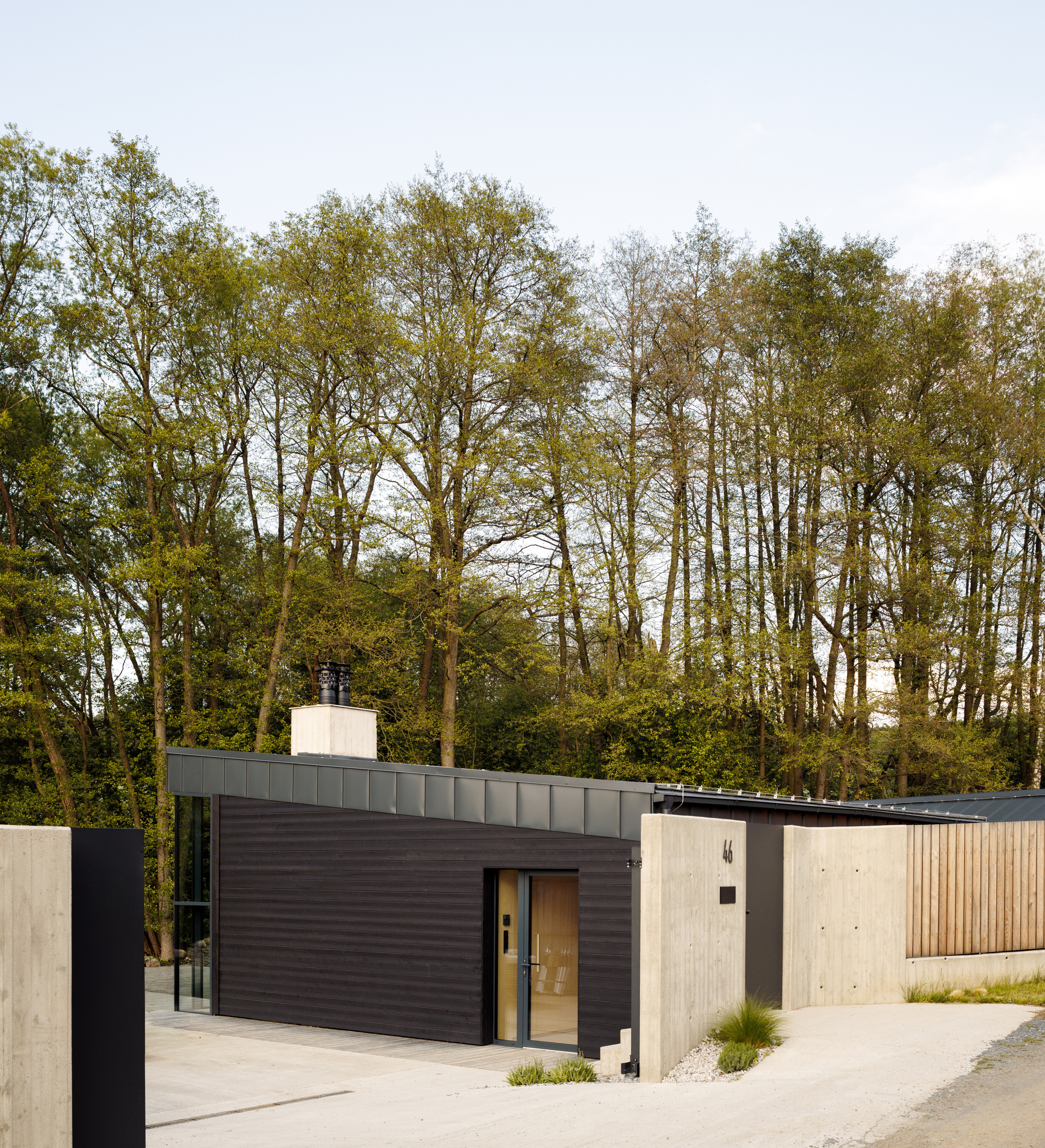 Street side entrance facade of dark timber cladding and concrete walls, with a tall stand of trees behind in spring light