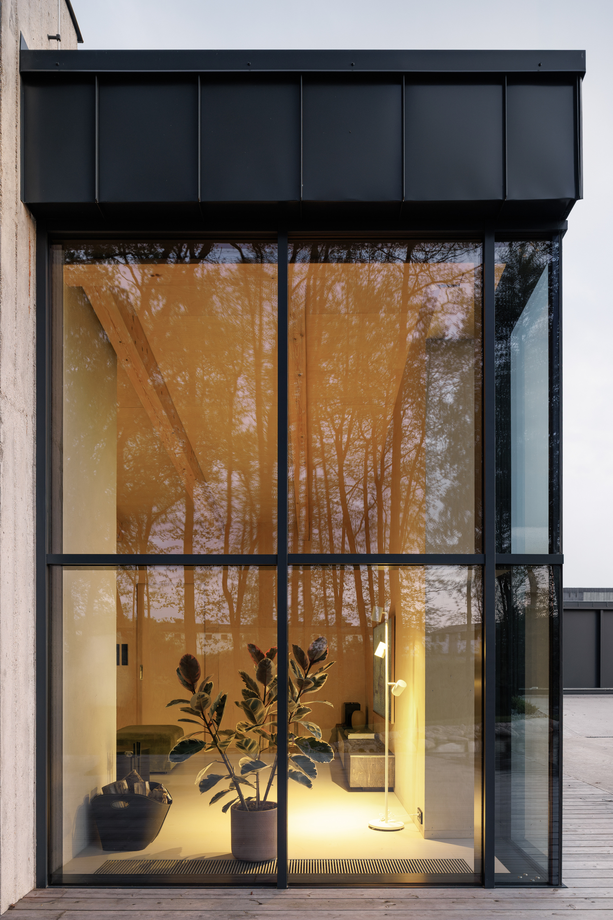 Corner glazing with black steel mullions and a metal fascia, a rubber plant lit inside and tree reflections on the glass