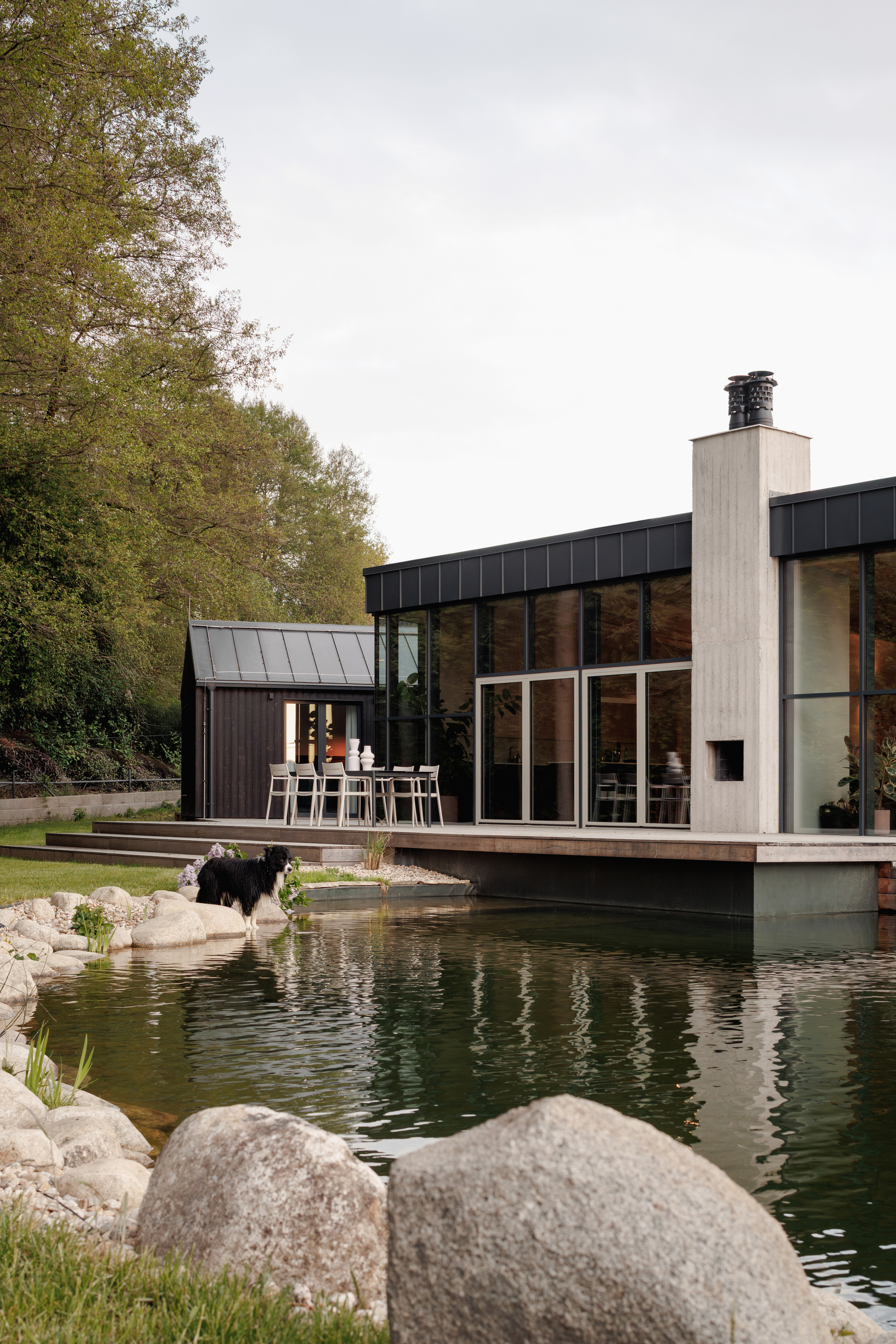 Glazed pavilion with a concrete chimney above a garden pond, a black and white dog standing among boulders under an overcast sky