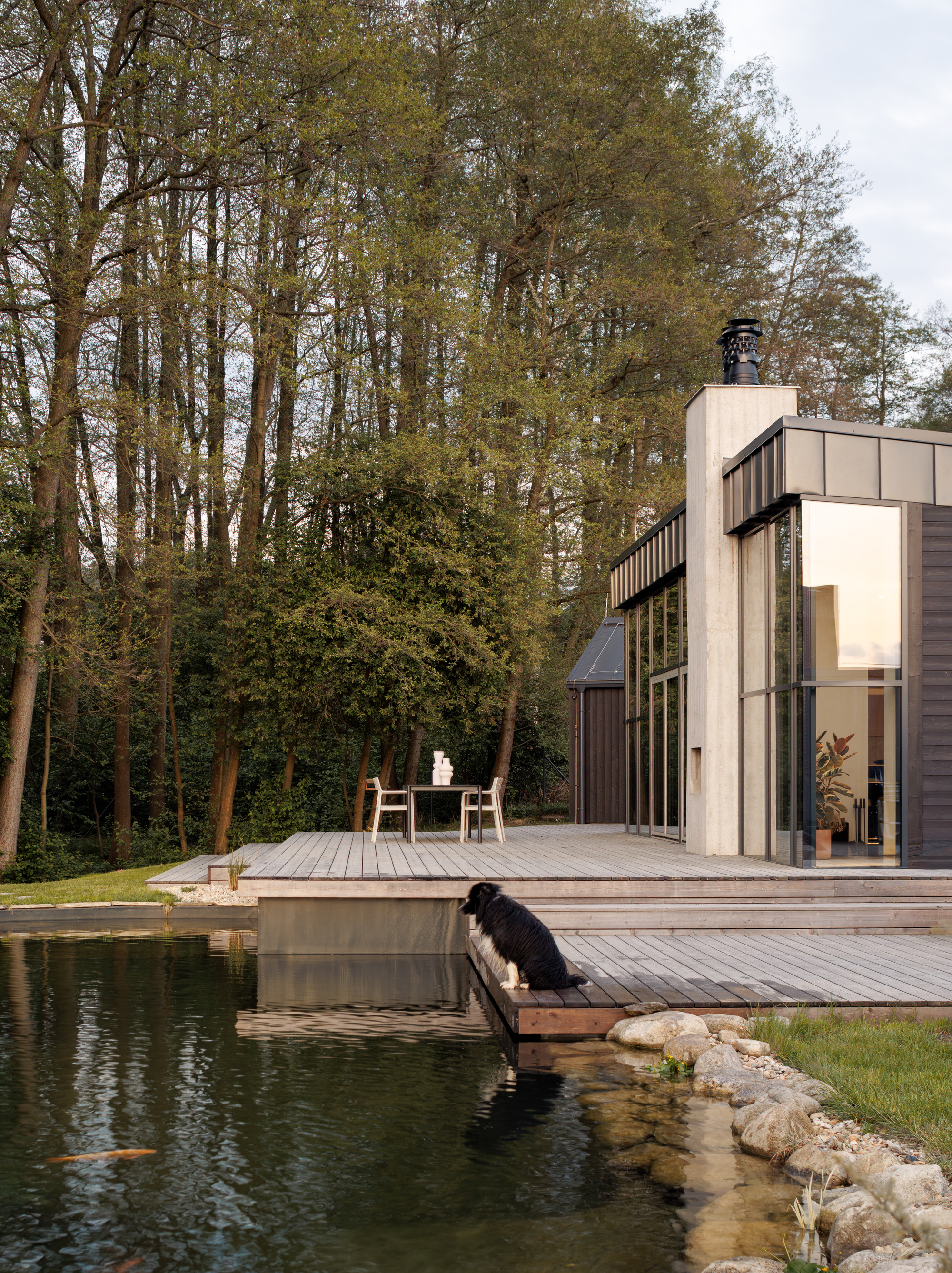Timber deck stepping down to the pond edge where a dog sits, with tall trees behind the glazed corner