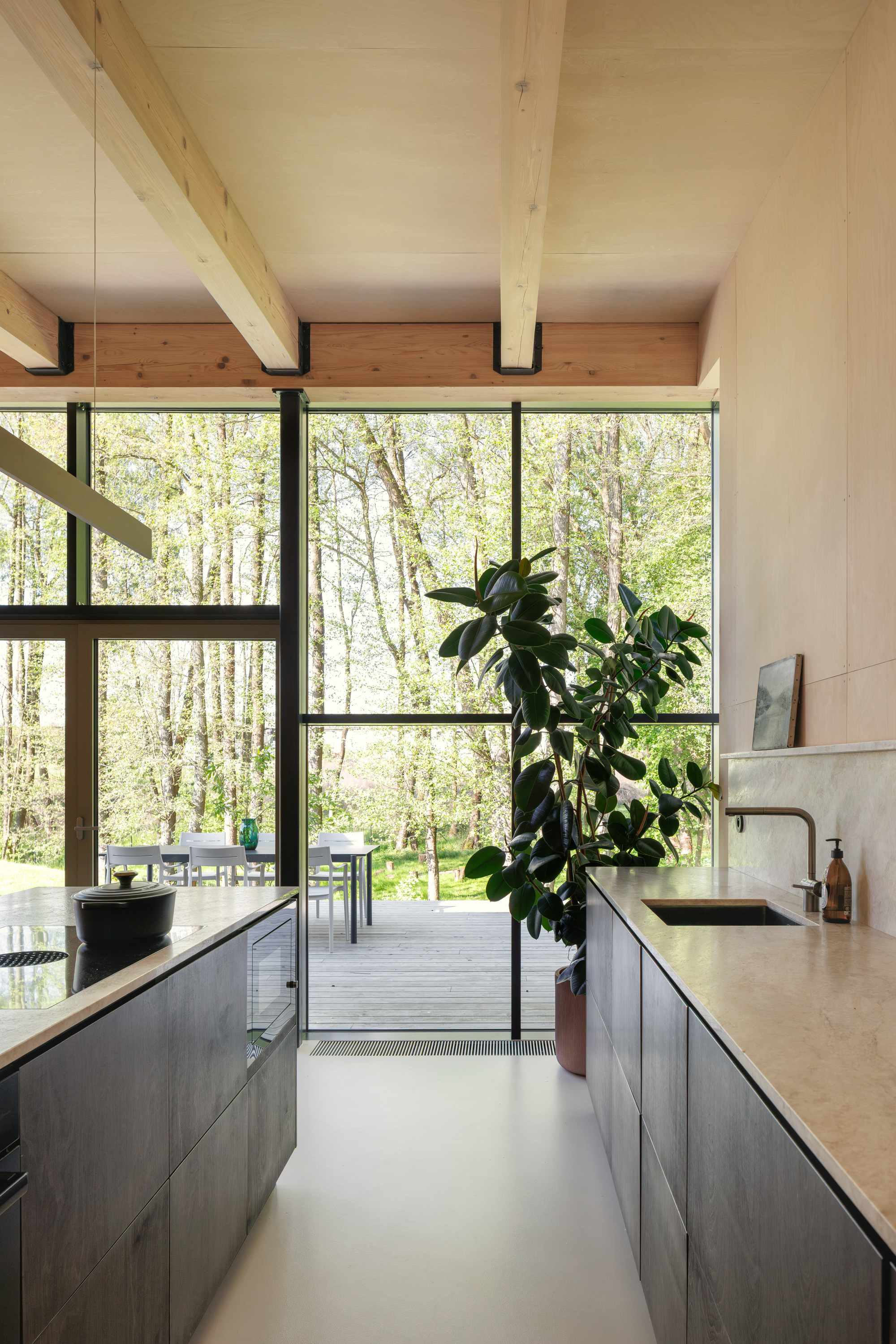 Kitchen between two dark counters, looking through a full-height glazed wall to a timber deck and spring woodland