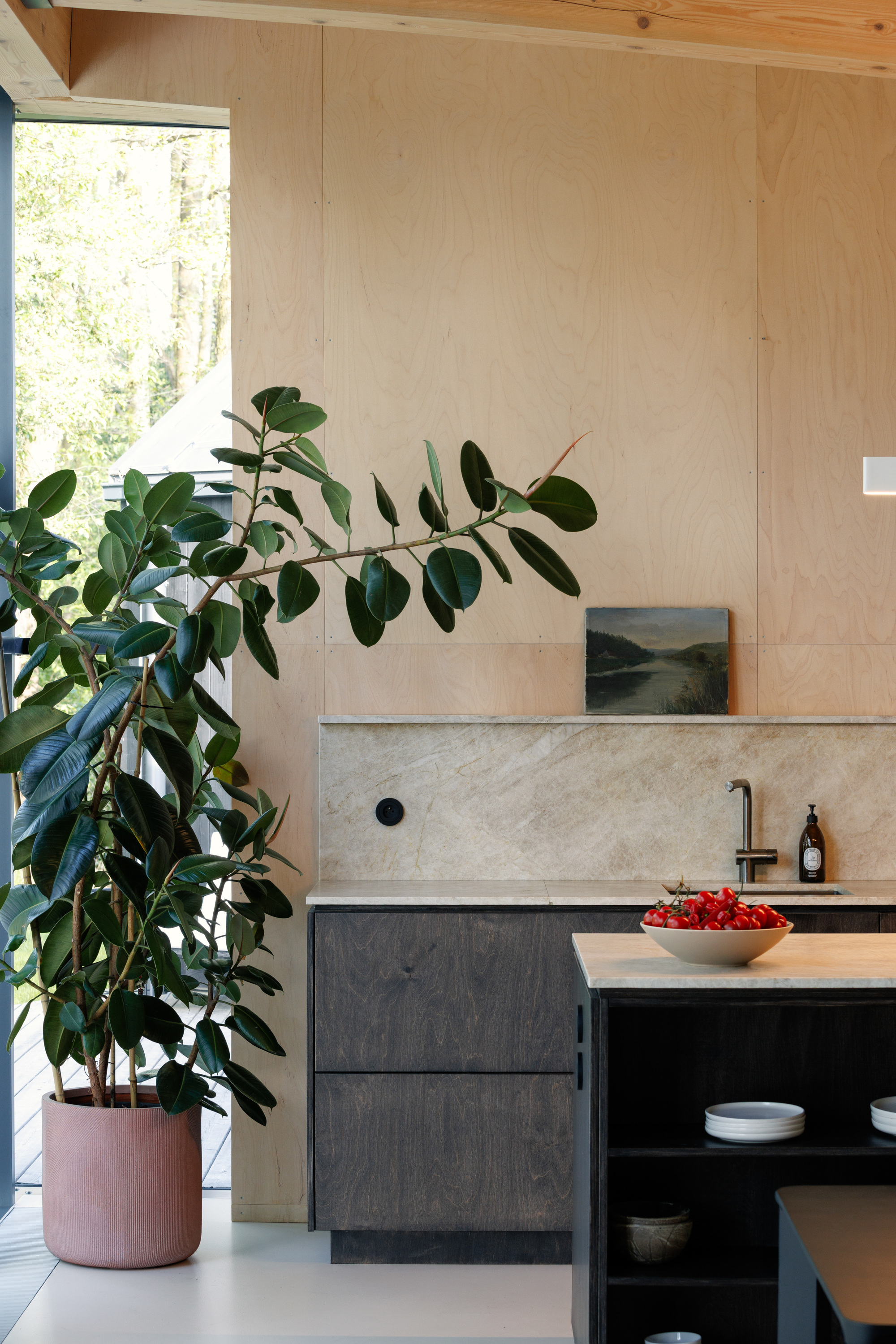 Potted rubber plant beside the plywood-clad kitchen wall, with a landscape painting propped on the stone splashback in soft daylight