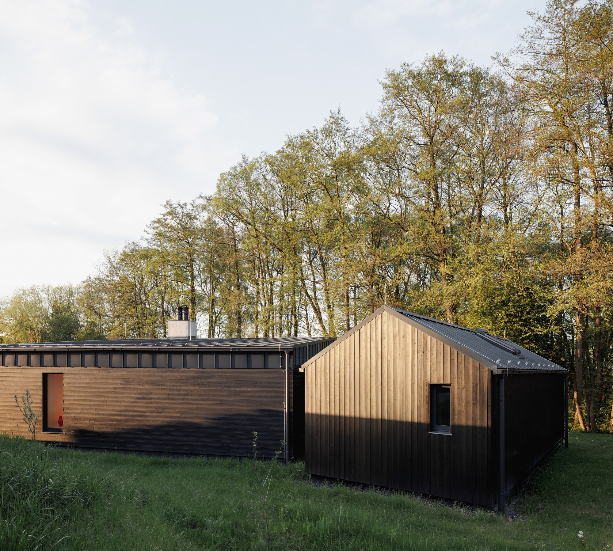 Two dark timber volumes, one long and low and one gabled, standing in tall grass in front of a tree line at dusk
