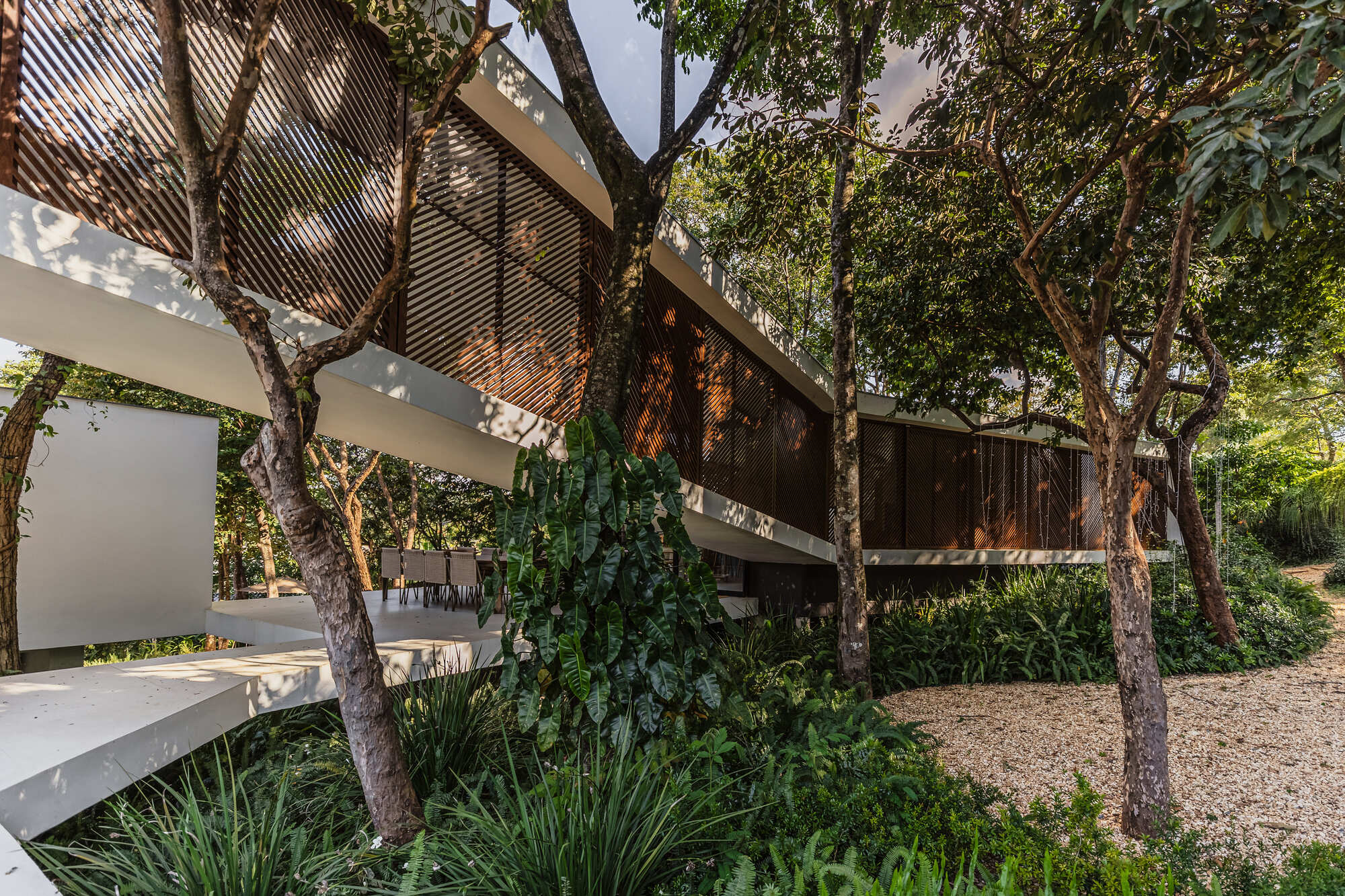 Underside of the cantilevered white slab and louvered timber screen above a gravel path, with dappled light under the trees