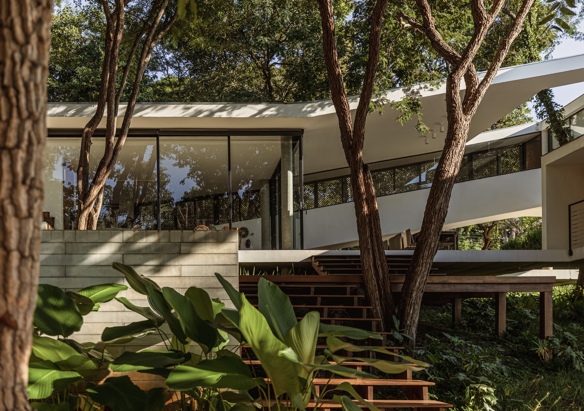 Glass living pavilion beside a stacked stone wall, with a timber stair rising through large-leaved plants and tree trunks