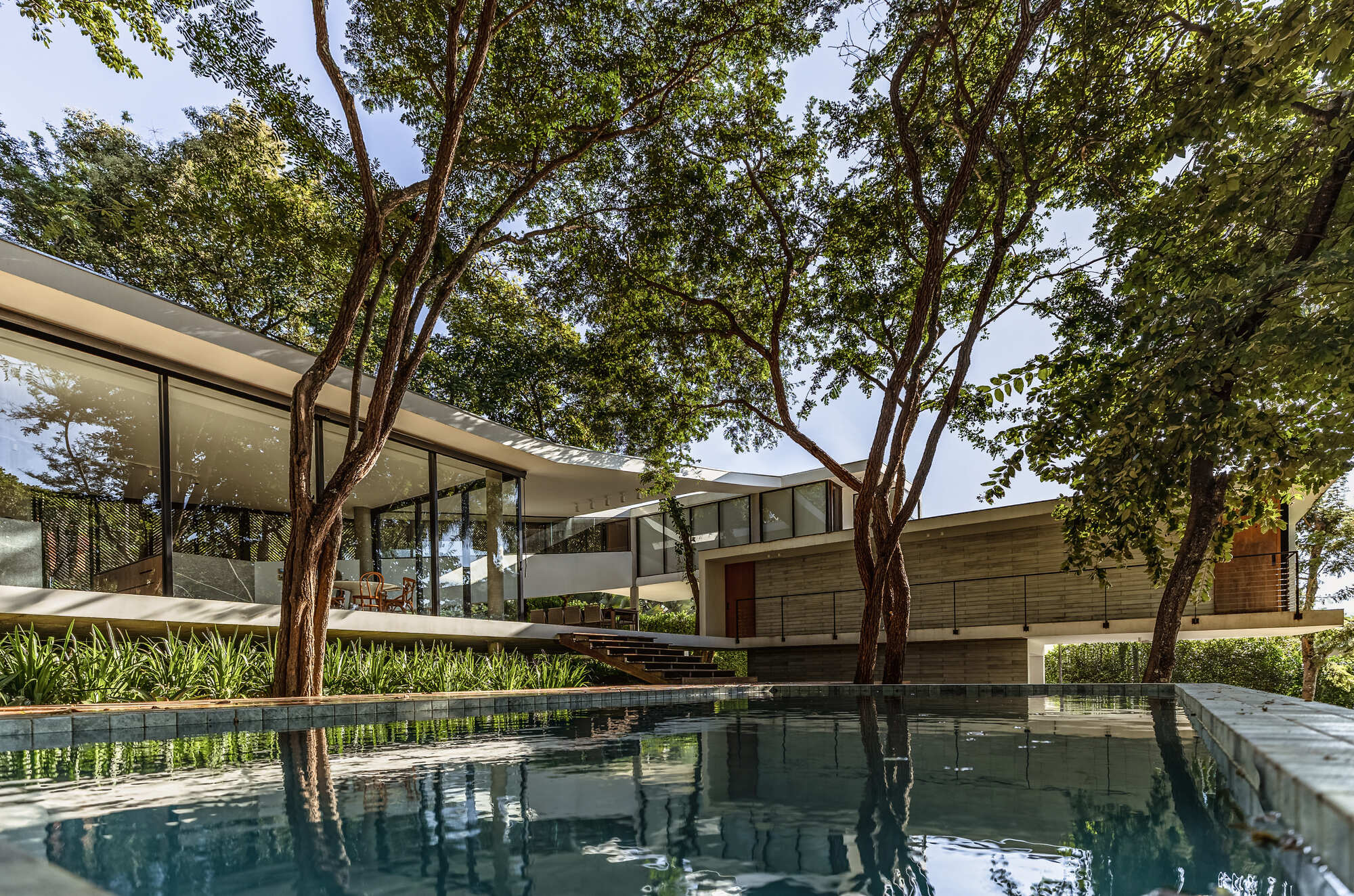 Pool edge reflecting the glazed pavilion and stone-clad upper volume, with slender tree trunks rising through the foreground