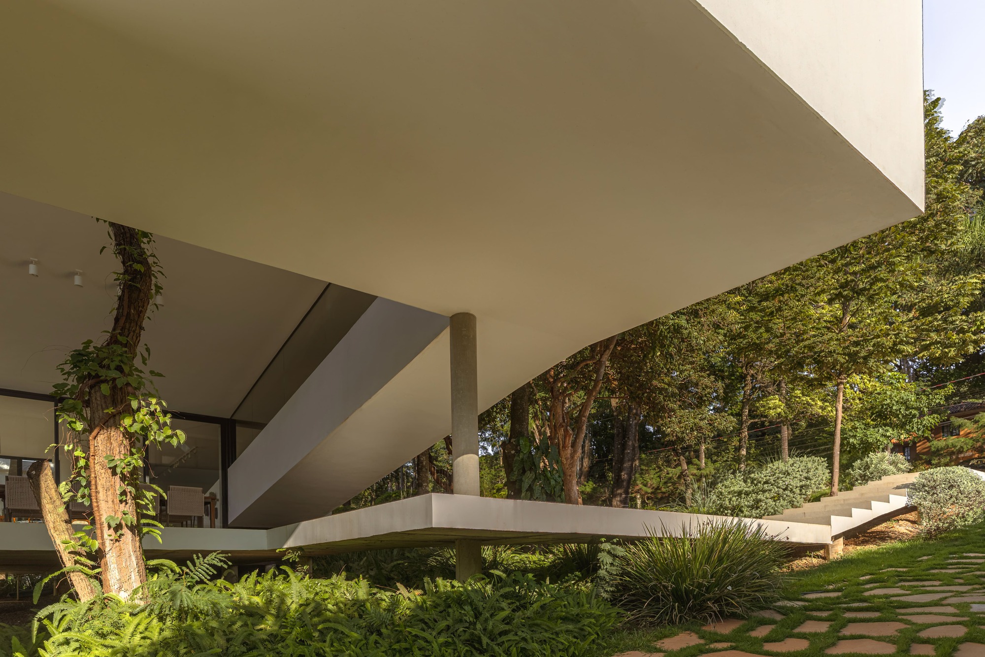 White cantilevered slab overhanging a slender round column, with a vine-wrapped tree and stepping-stone path in dappled late sun