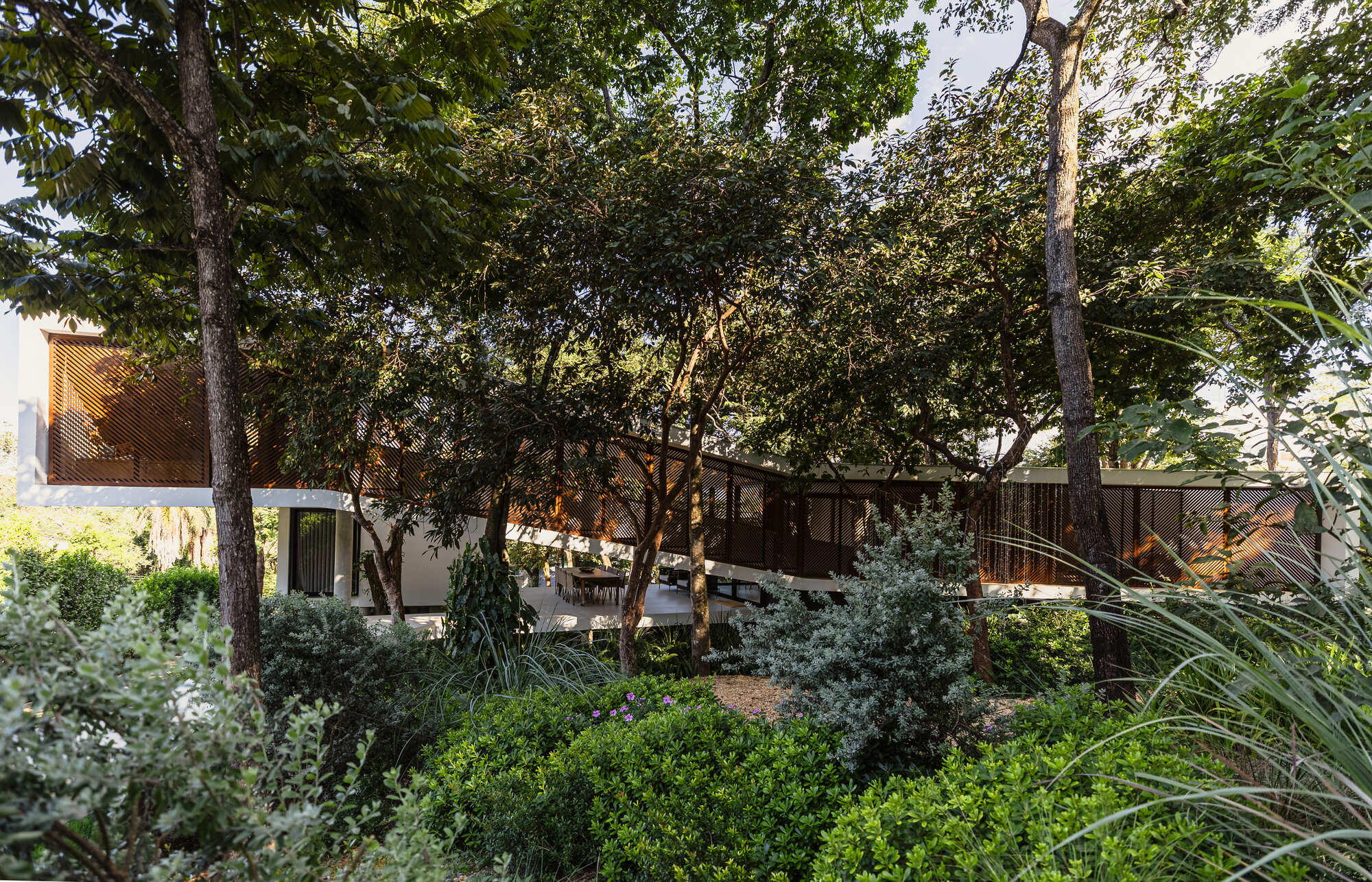 Timber-screened upper volume seen through dense trees and shrubs, with a dining table visible on the covered terrace below