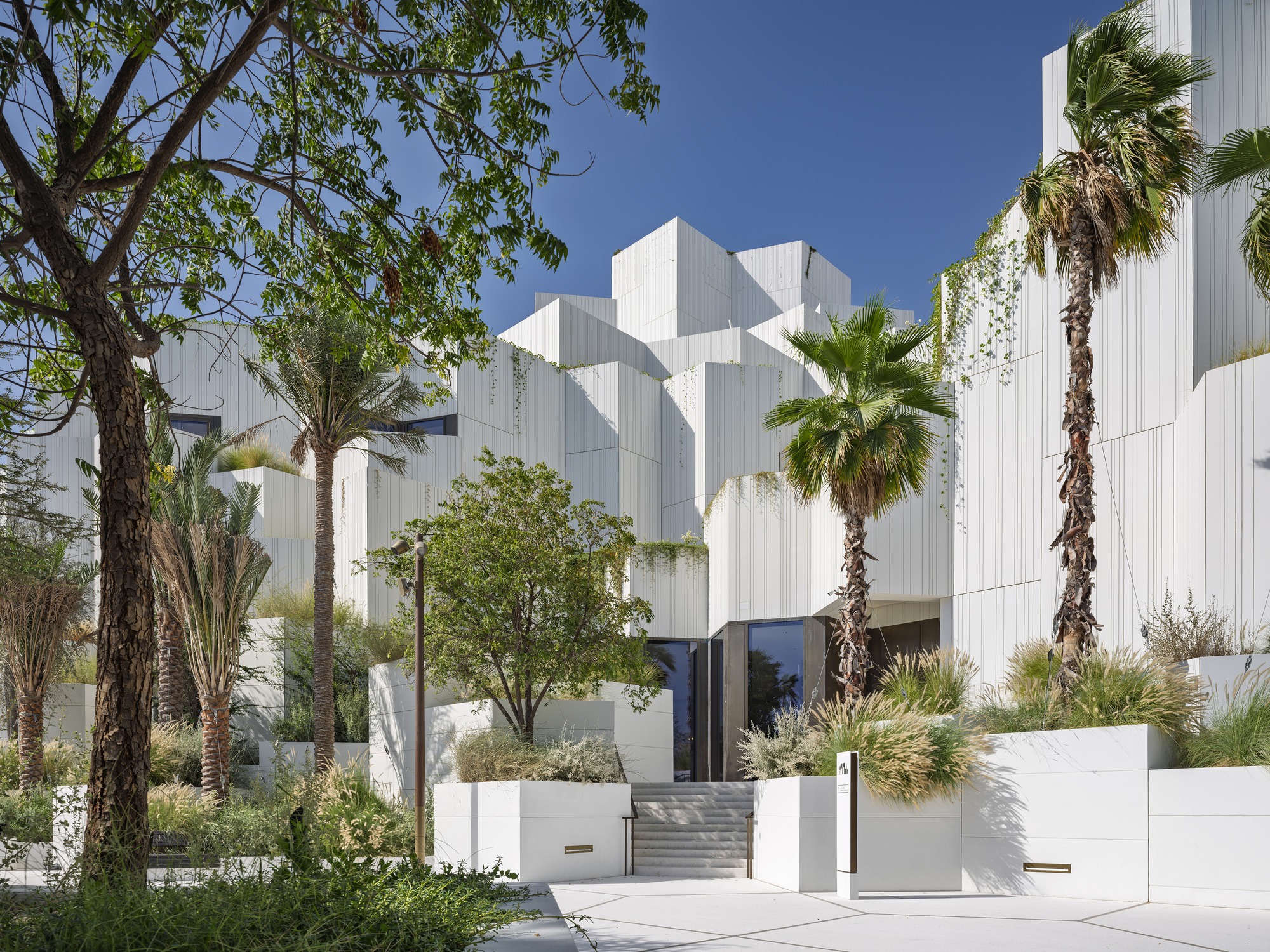 Entrance steps between white planter walls and palms, with stepped white volumes rising behind under midday sun