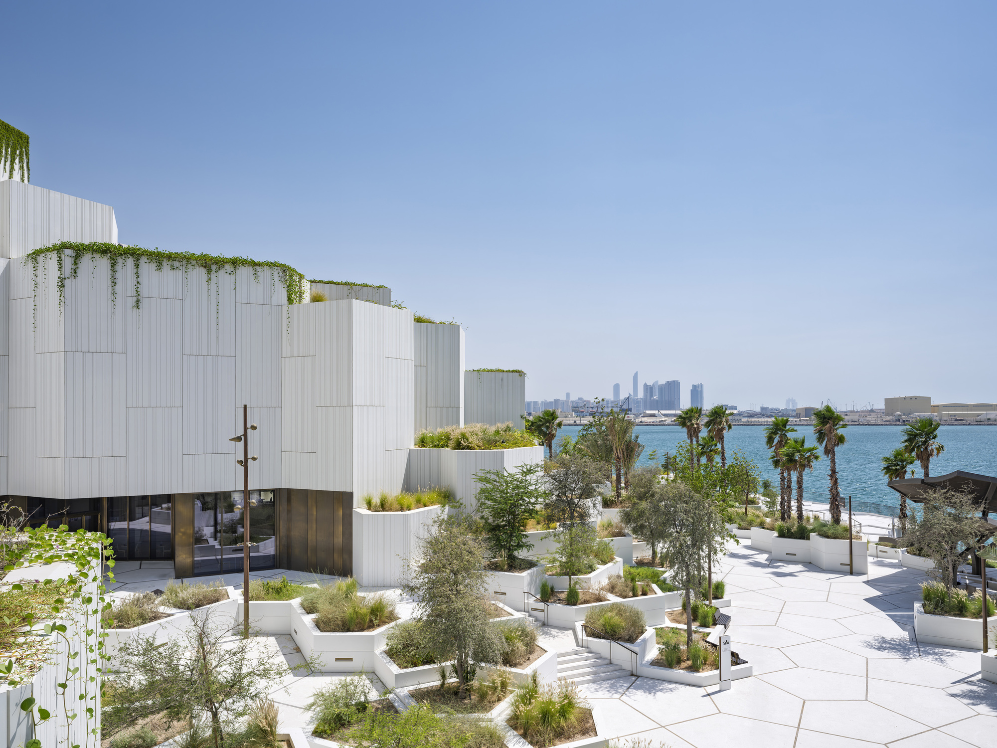 Terrace of white planters with grasses and olive trees beside a vine-draped white facade, sea and distant skyline beyond