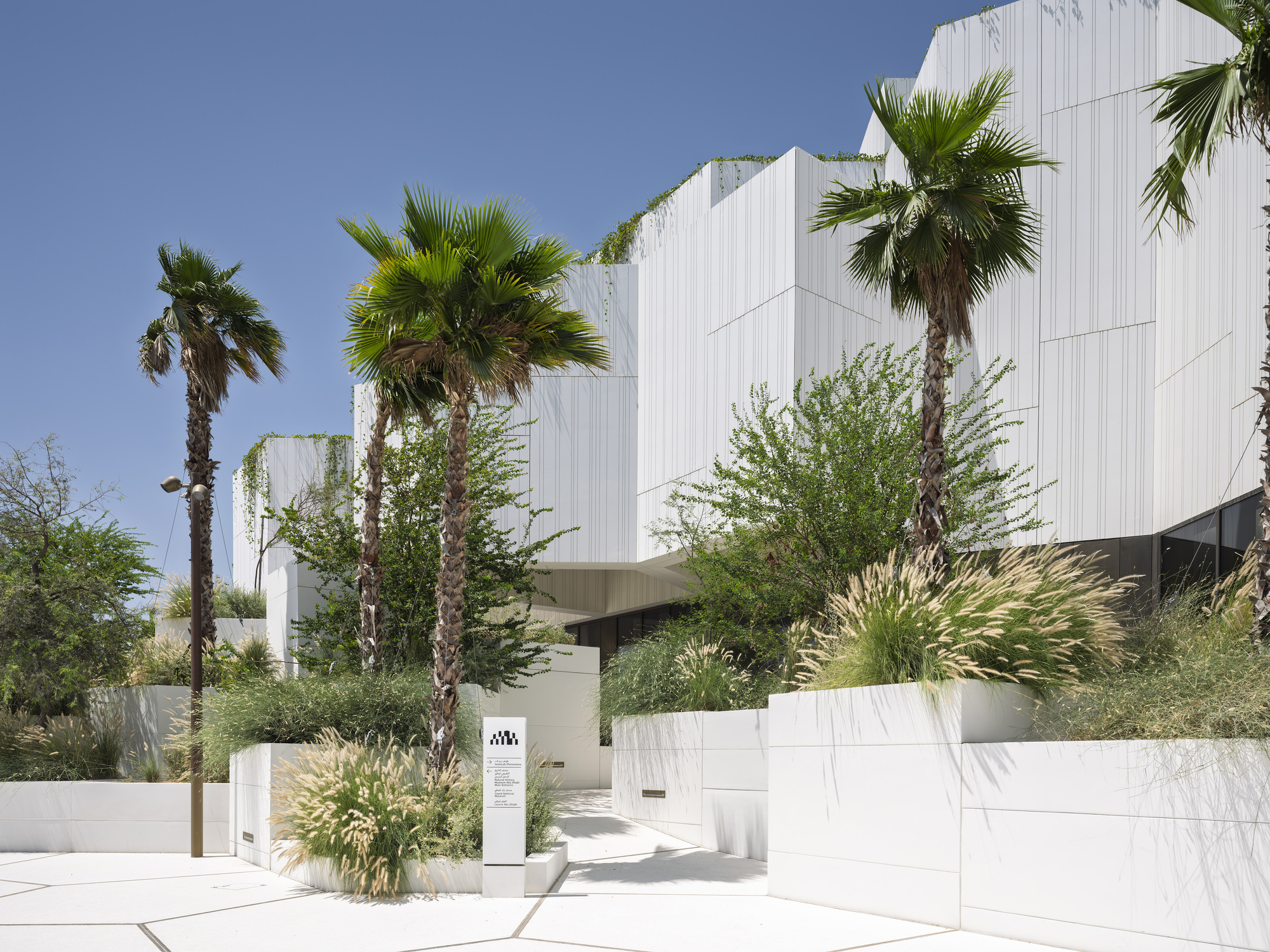 Palms and grasses in white planter boxes along a paved approach to the faceted white building on a bright day