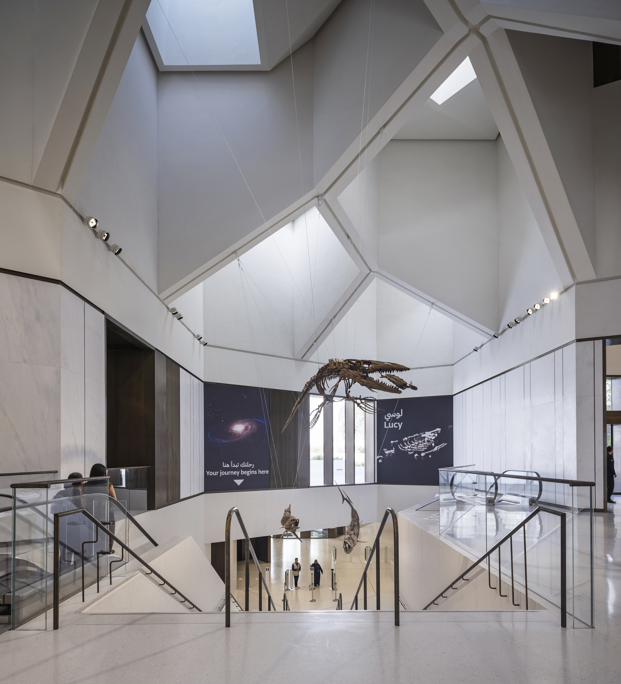 Stairwell void beneath a faceted white ceiling with skylights, a marine reptile skeleton suspended above glass balustrades and visitors below