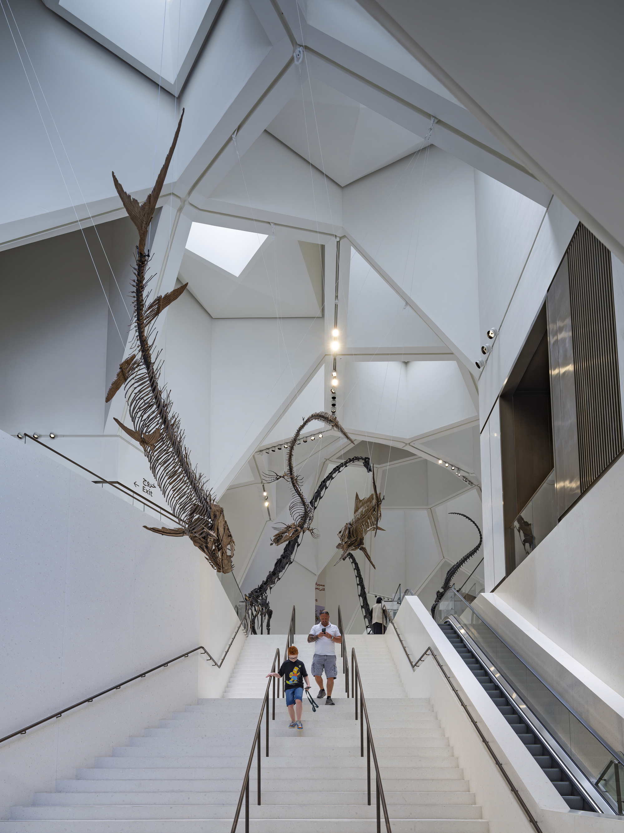Wide white stair and escalator beneath angular ribbed ceiling, with suspended fossil skeletons and a man and boy descending