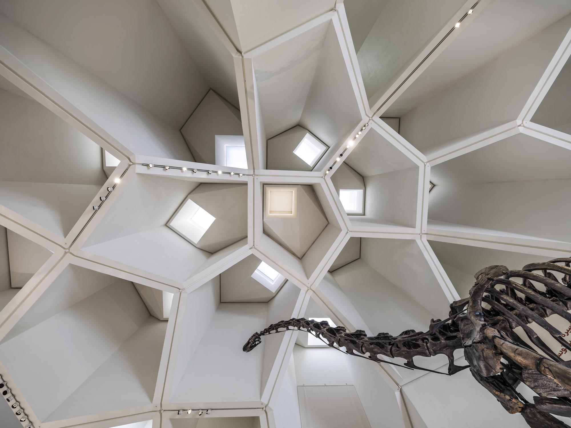 Looking up at a honeycomb ceiling of white polygonal coffers with small skylights and track lights, a dinosaur neck entering the frame